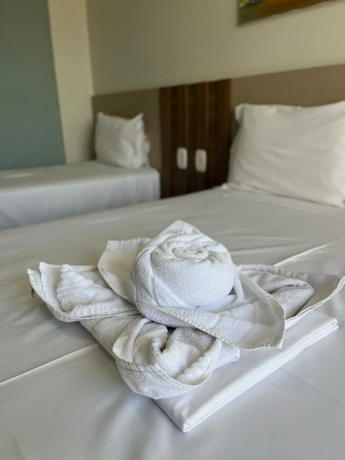 WhatsApp Image 2025-09-30 at 21.44.57.jpeg