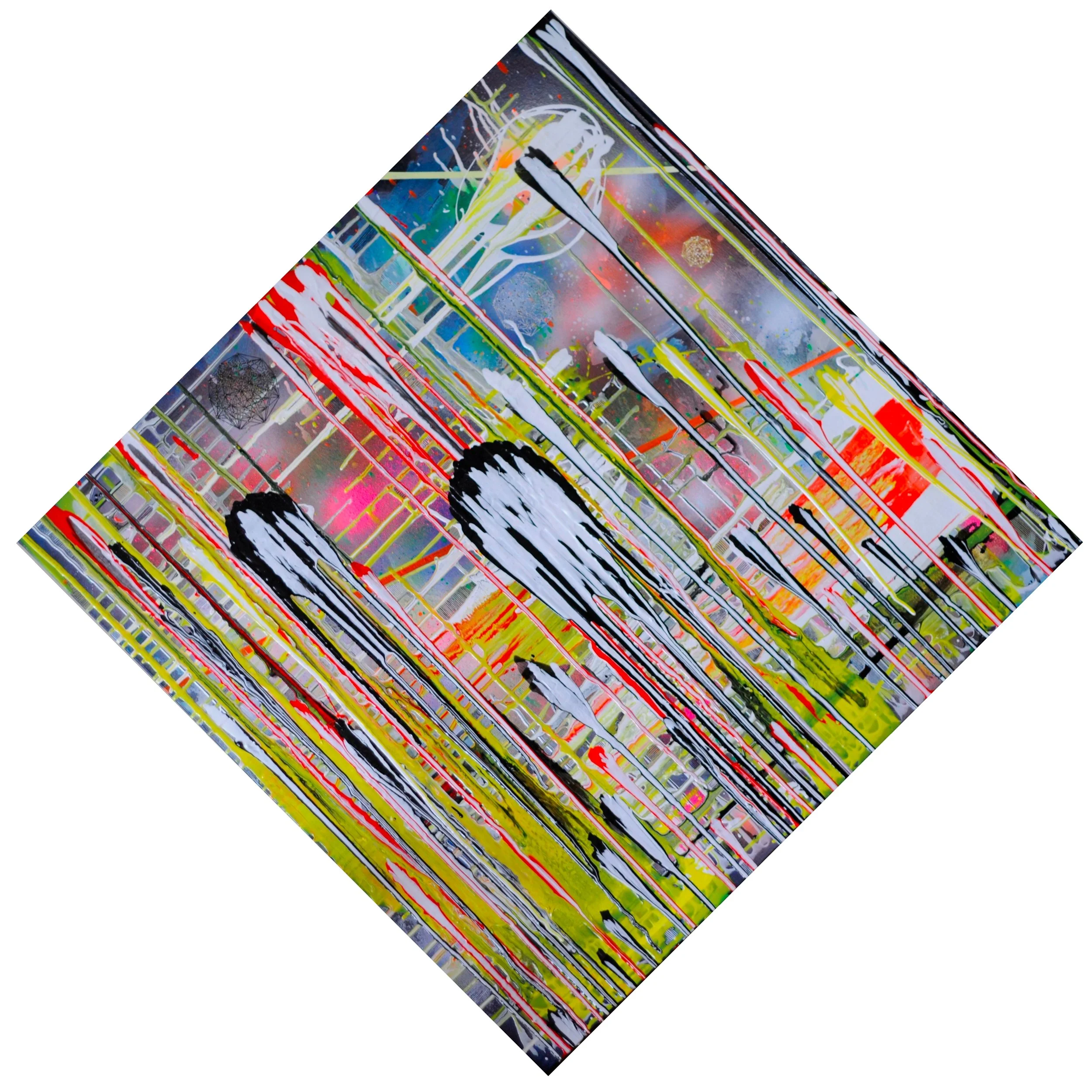 Swarm

Acrylic and spray paint on canvas
34" x 34"
2015

$1700