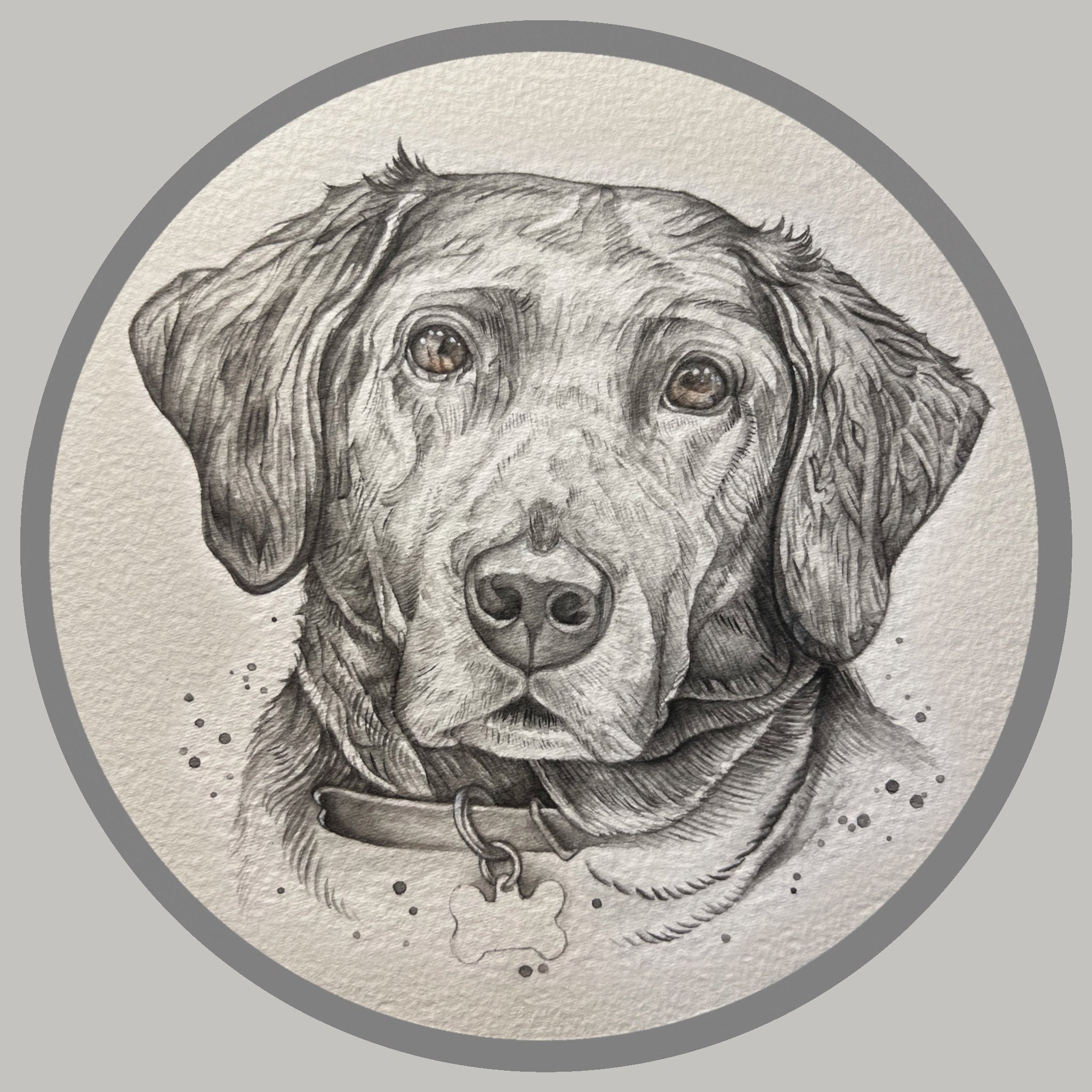 Otis

Watercolour on cold press paper
2024

*Sold*