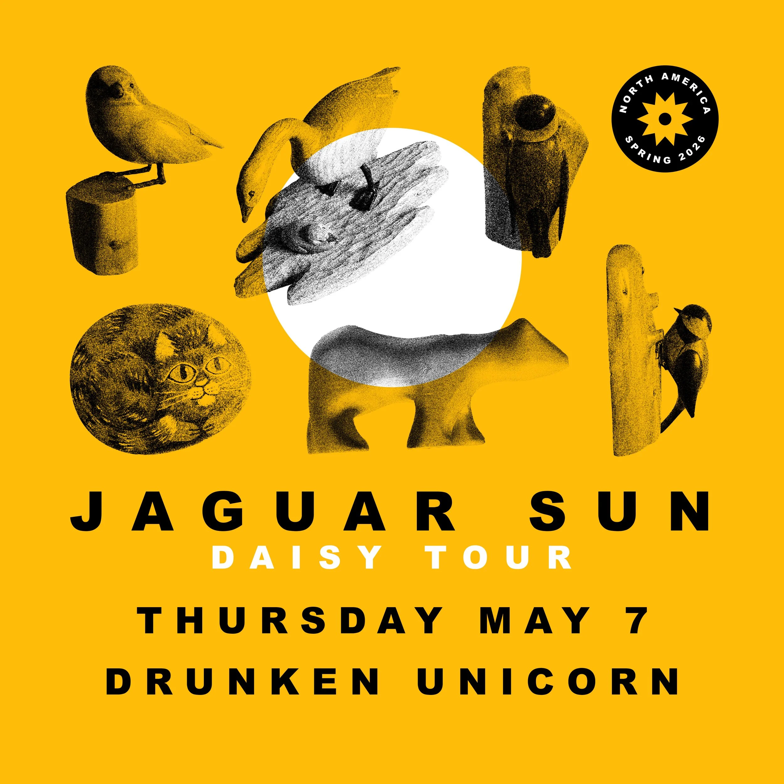 Jaguar Sun