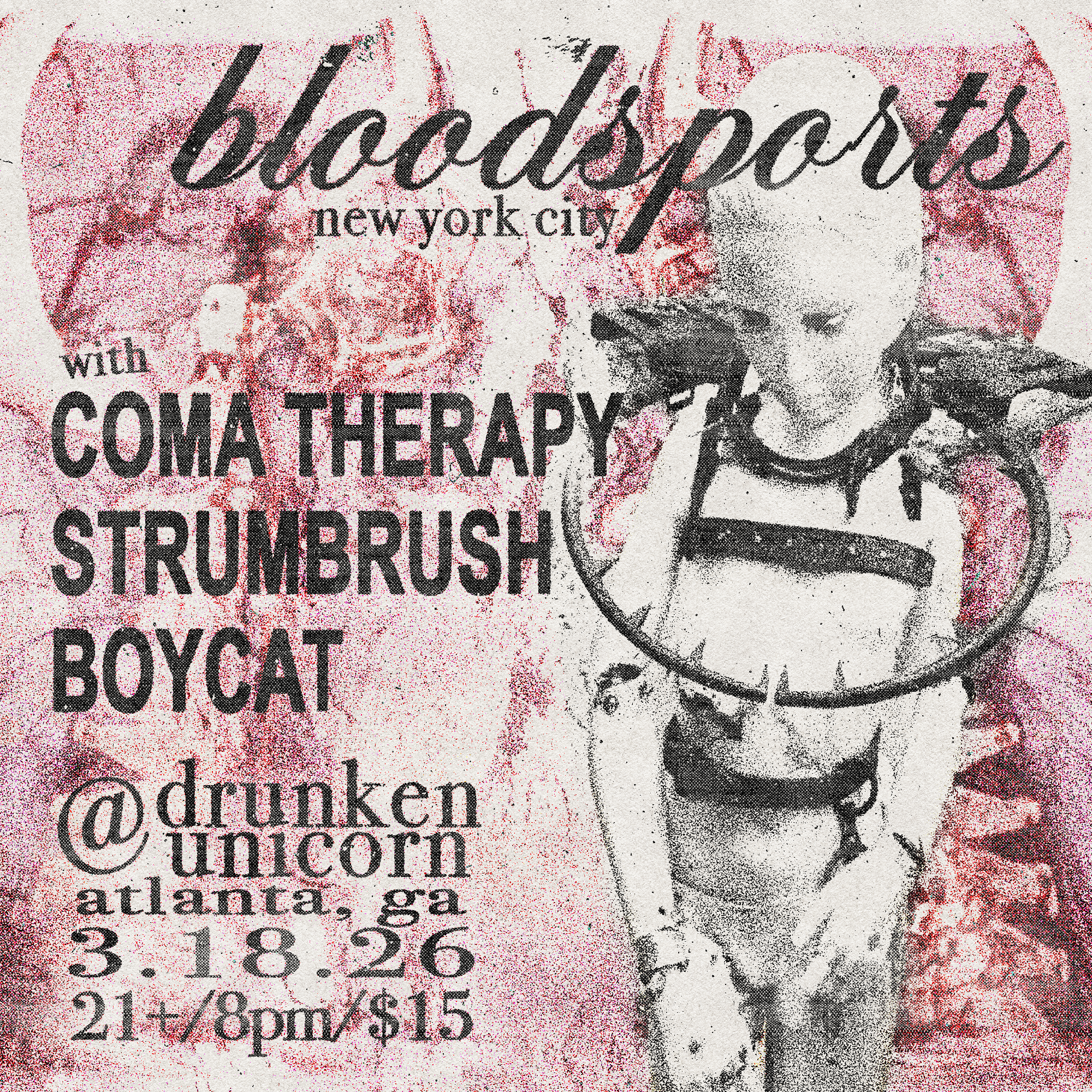 Bloodsports, Coma Therapy, Strumbrush, Boycat
