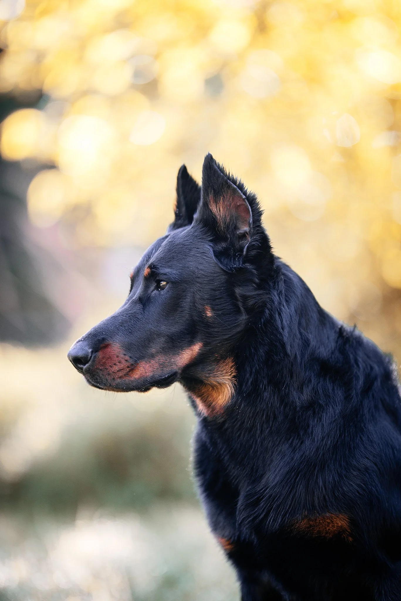 DSC_1634-Edit.jpg