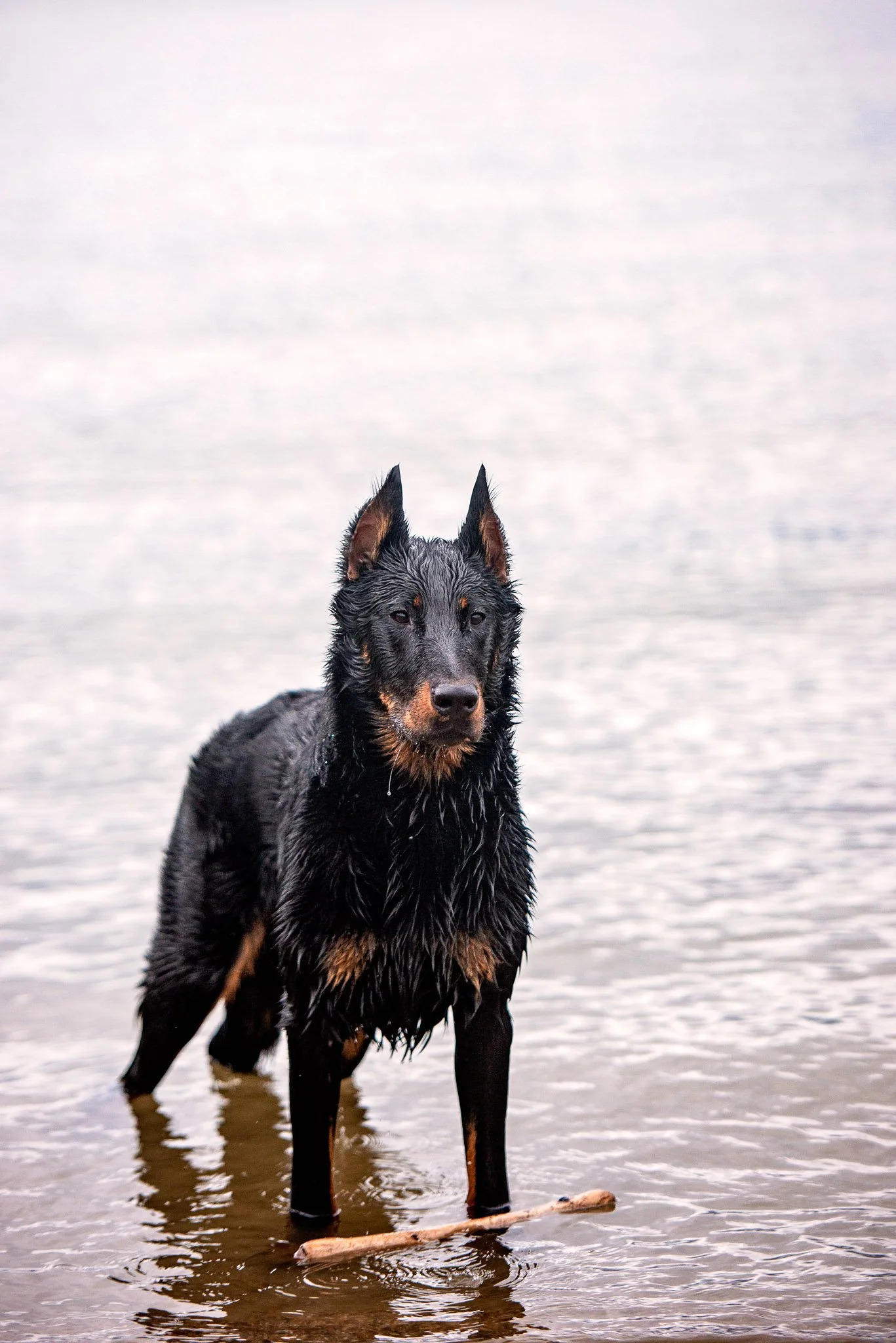 DSC_7653-Edit.jpg