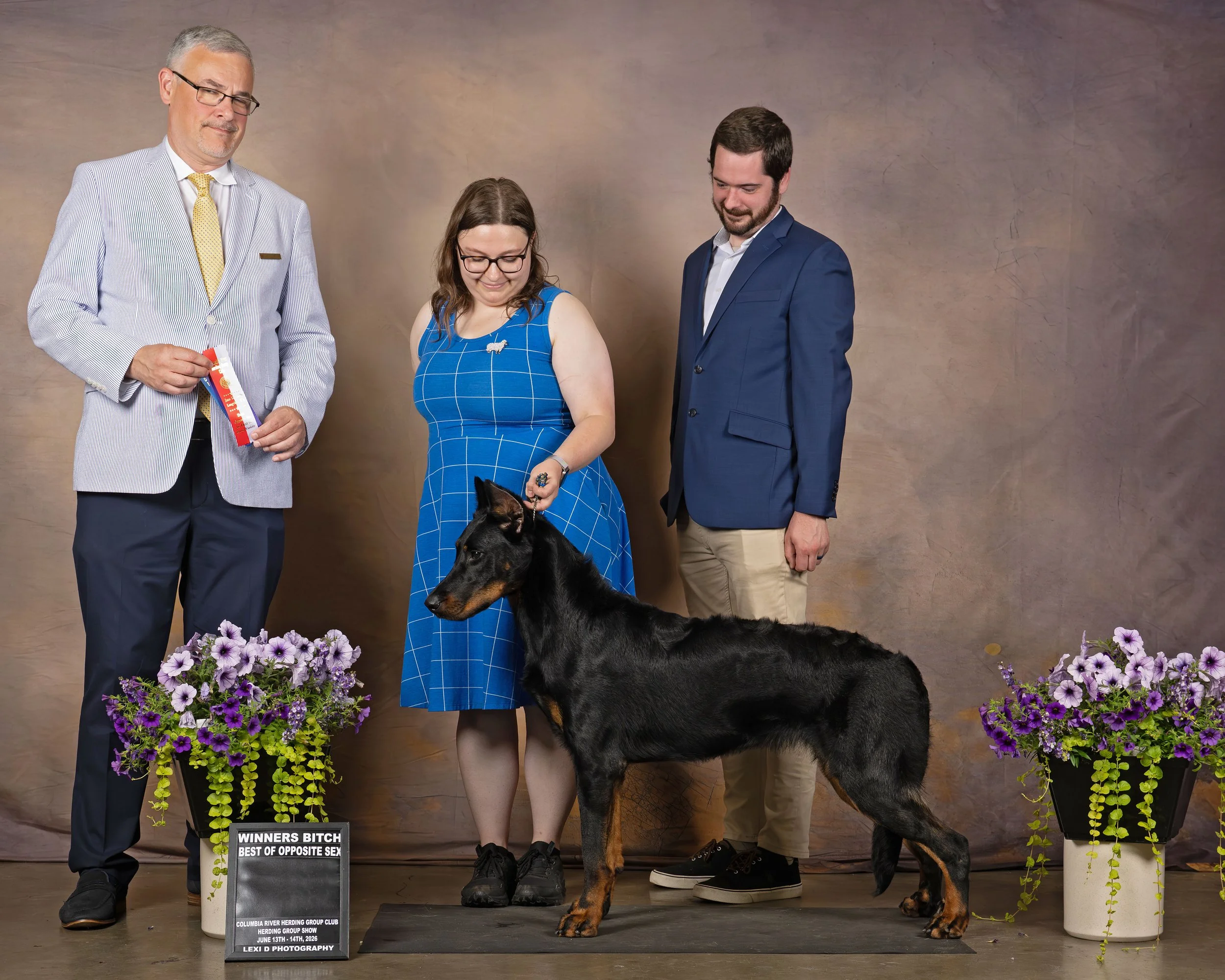 0626 Herding Specialty BOS Lux by Lexi D.jpg