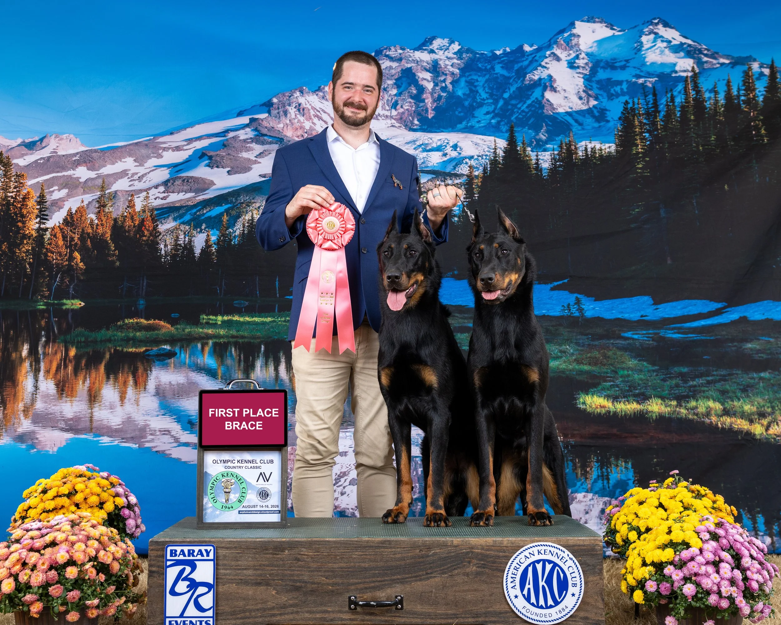 2608 Enumclaw Sangira Lux BeauceronBraceFri.AV1L3201-2.jpg