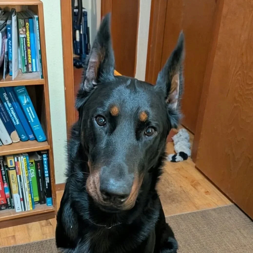 Aero