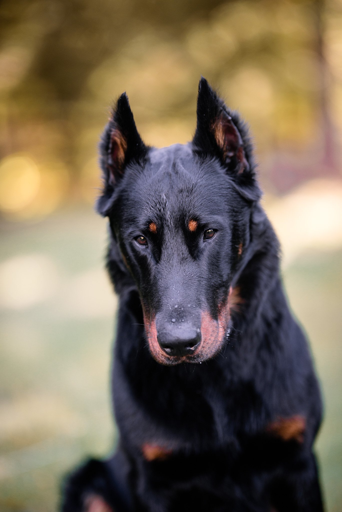 DSC_1677-Edit.jpg