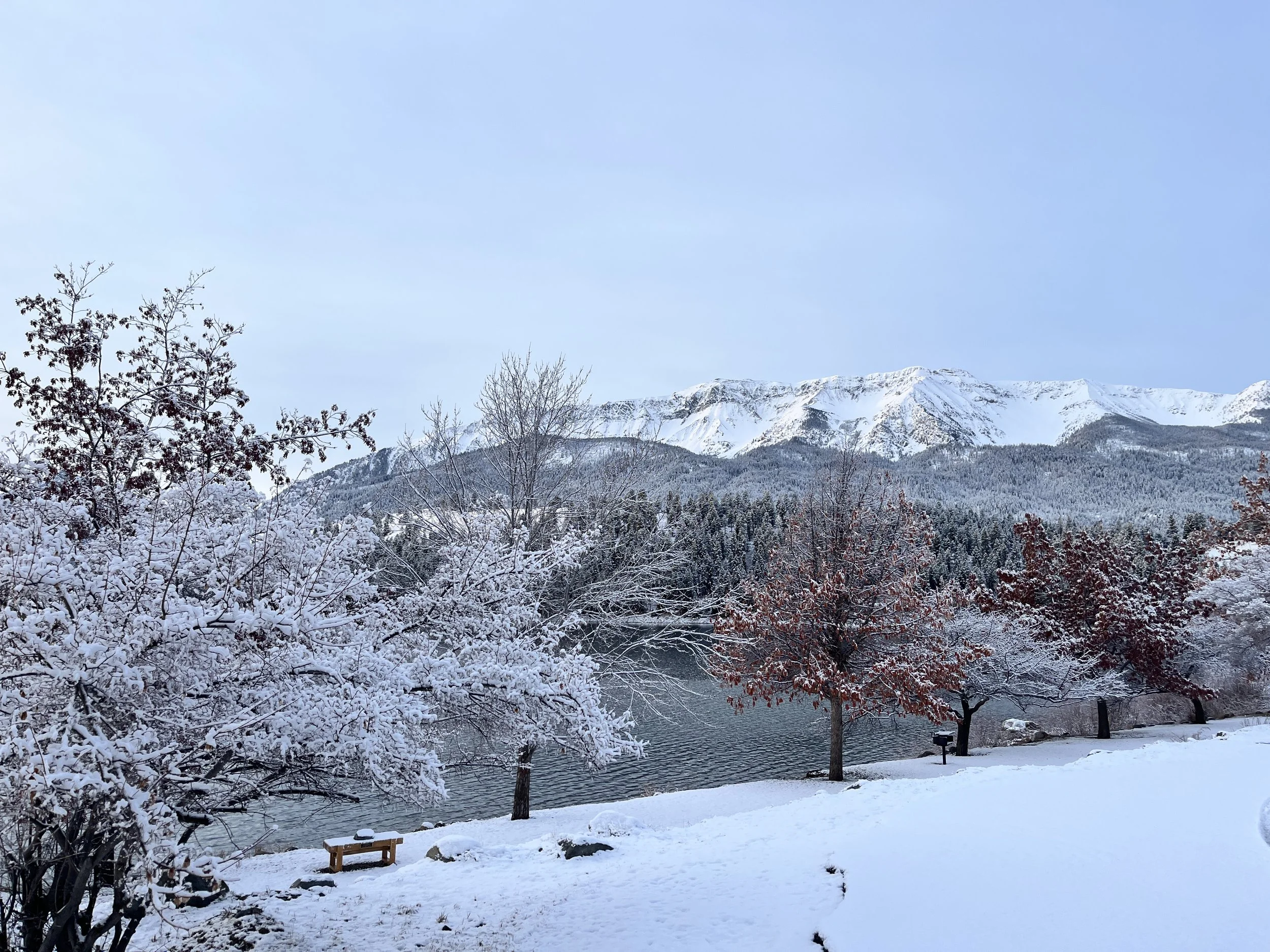 Wild Goose Meandering