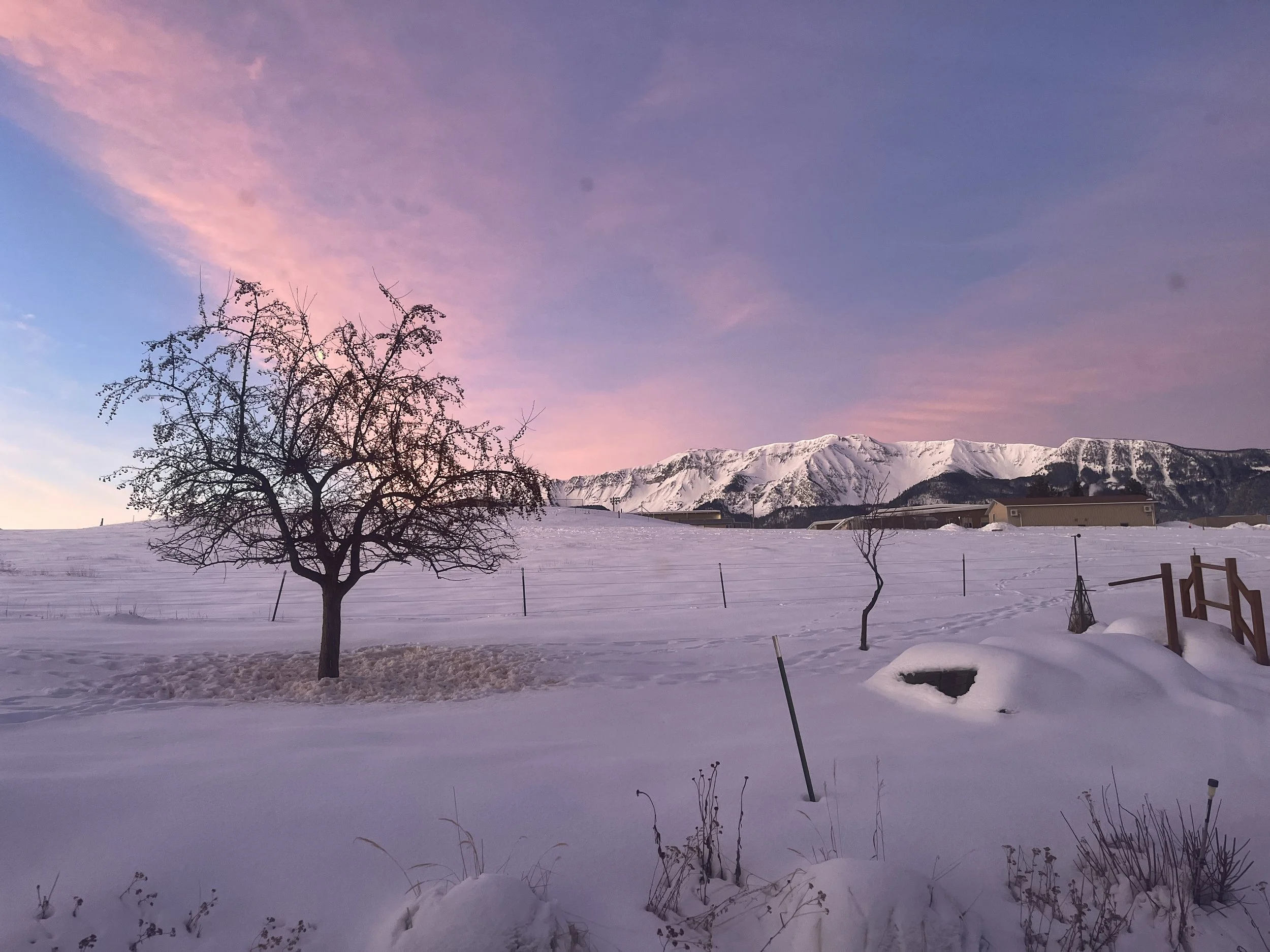 Menopausian Journey, Part 2