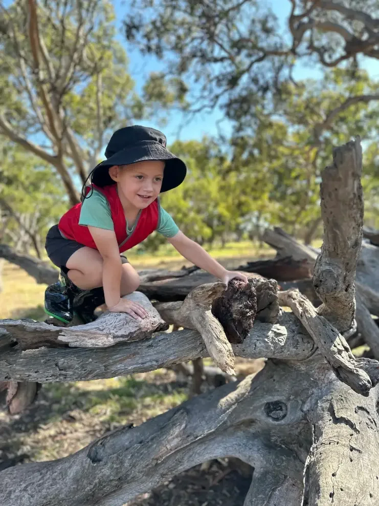 A young boy wearing a black hat, red vest, and shorts climbing on a large, weathered tree branch outdoors with trees and a blue sky in the background.