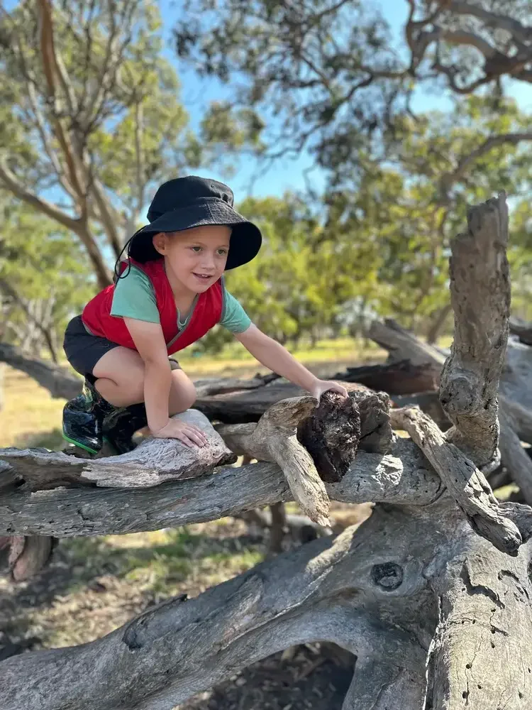 Young child in a red shirt and black hat climbing on large tree branches outdoors.