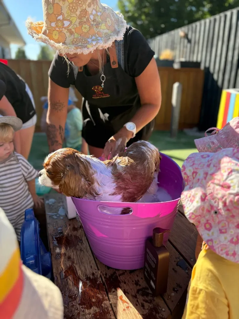 Person washing a dog in a purple tub outdoors, with children nearby.