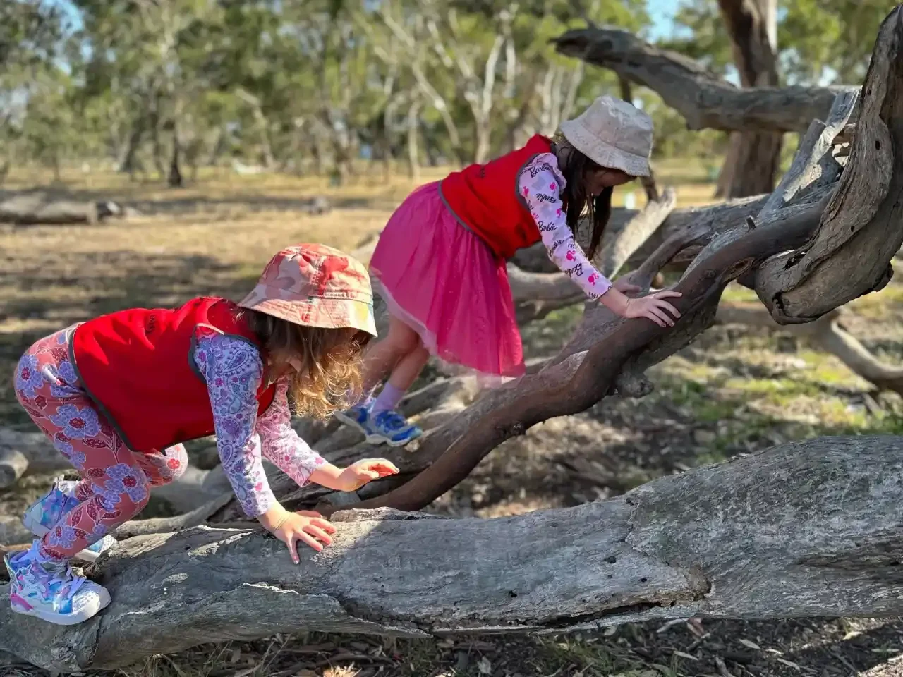 Two children in colorful outfits and hats climbing a large, fallen tree branch in a sunny, grassy area with trees in the background.