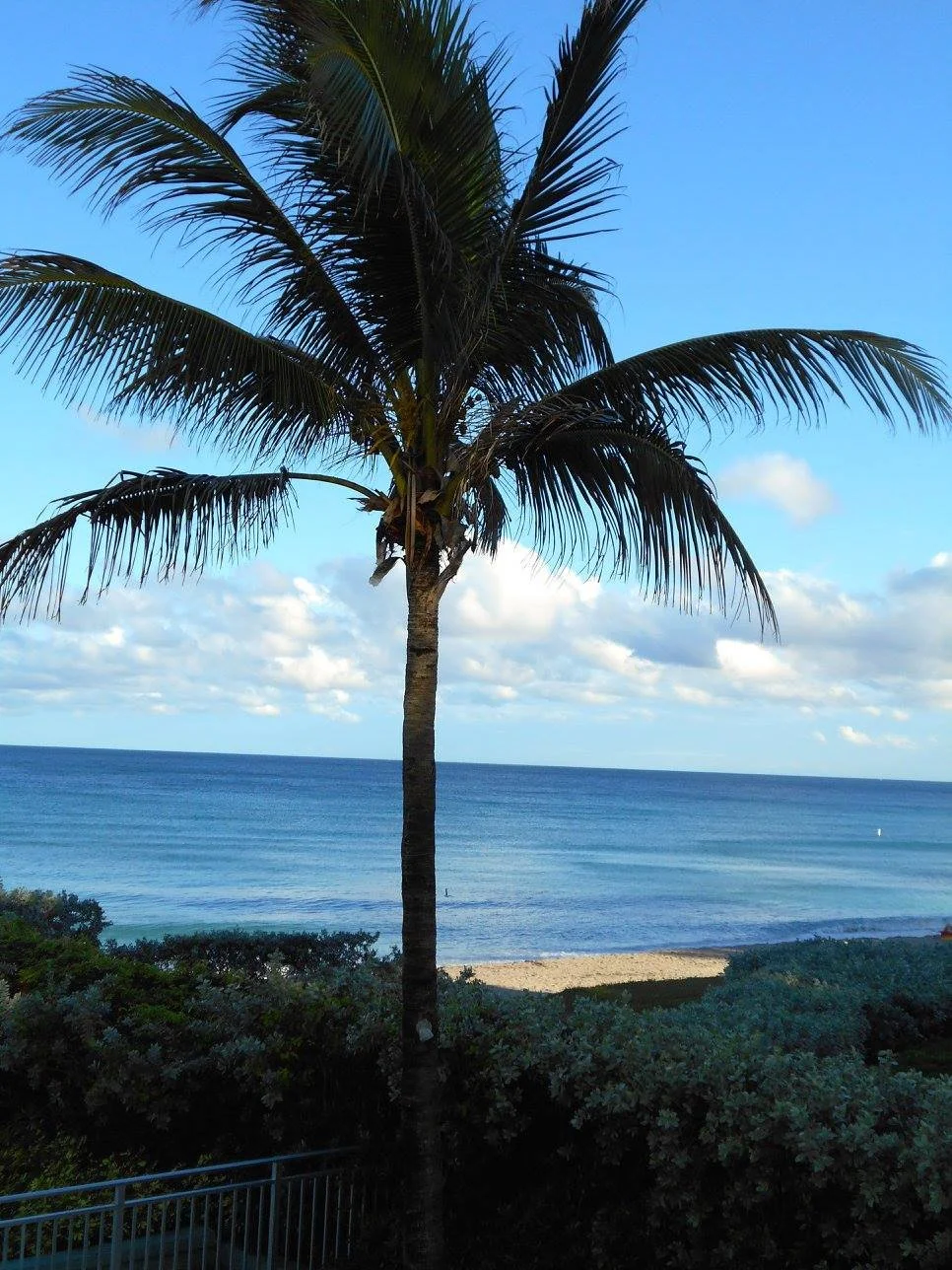 postpartum struggles. mom rage. postpartum rage. birth trauma therapy. missouri moms. MO moms. St Louis Moms. Kansas City moms. Springfield Moms. Lake of the OZarks moms. Jefferson City Moms. Mizzou Moms. birth trauma specialist. mental health