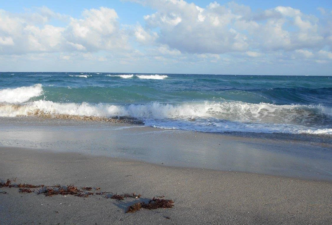 Counseling st louis. therapy st louis. online therapist in missouri. virtual therapist st louis. virtual therapy in springfield. online therapy in kansas city. Waves of Motherhood therapy for moms. Perinatal counseling. Mom therapy.