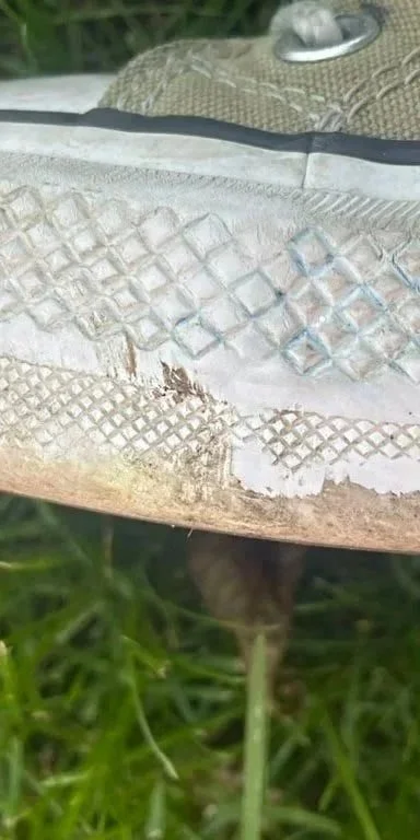 converse2.jpg