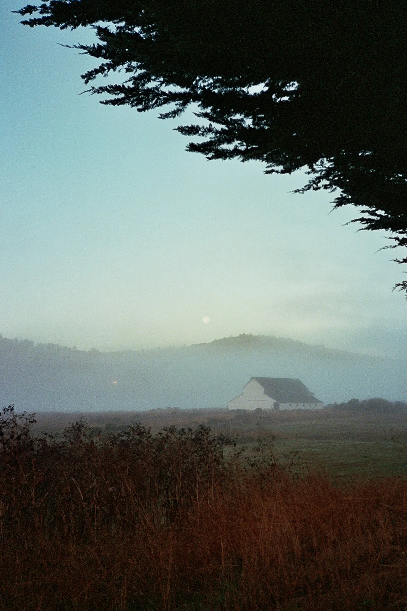 A landscape scene at dawn or dusk featuring a silhouette of a pine tree on the right, a barn or house in the distance, rolling hills, mist or fog in the air, and a faint moon in the sky.