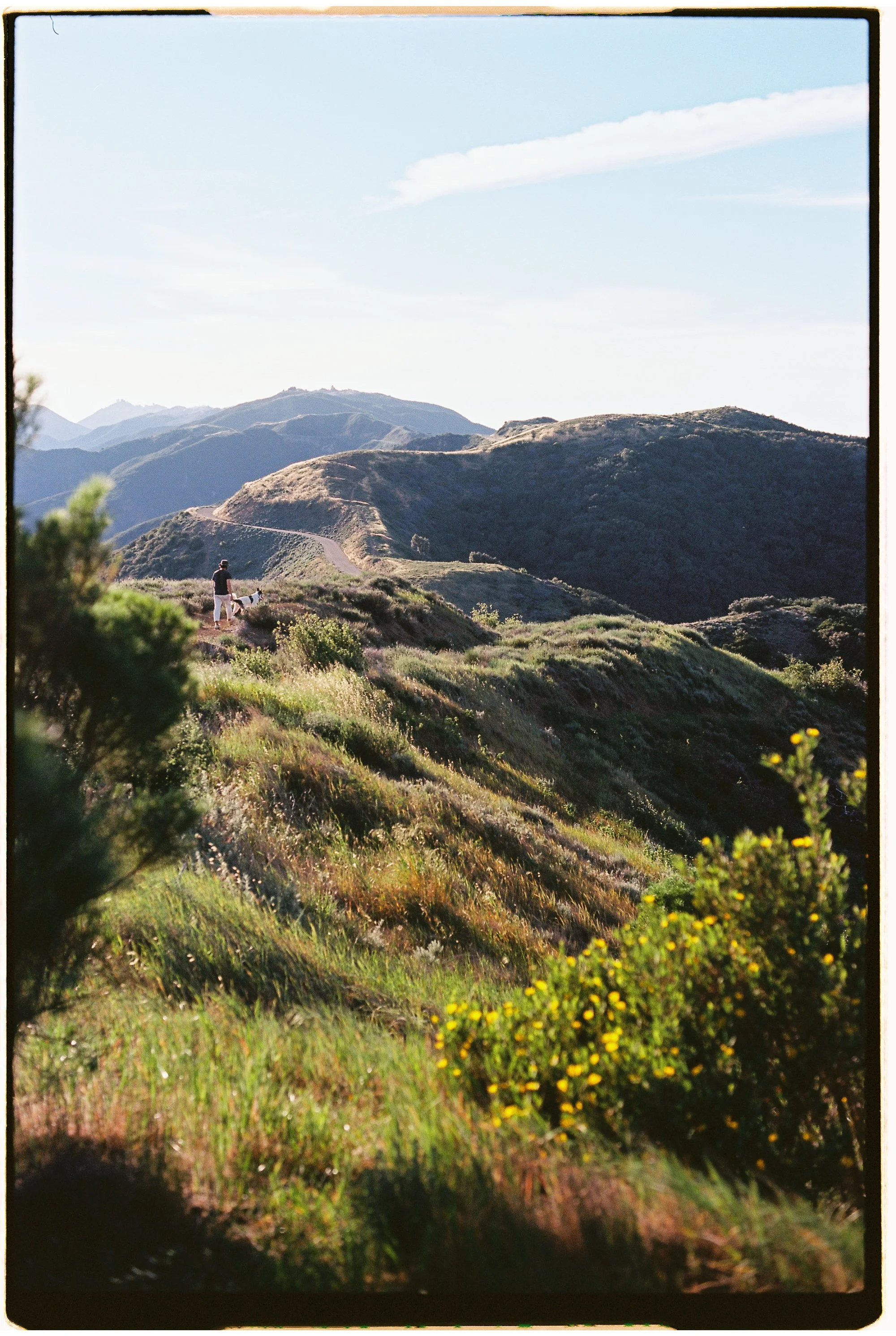 Hillside of Santa Barbara