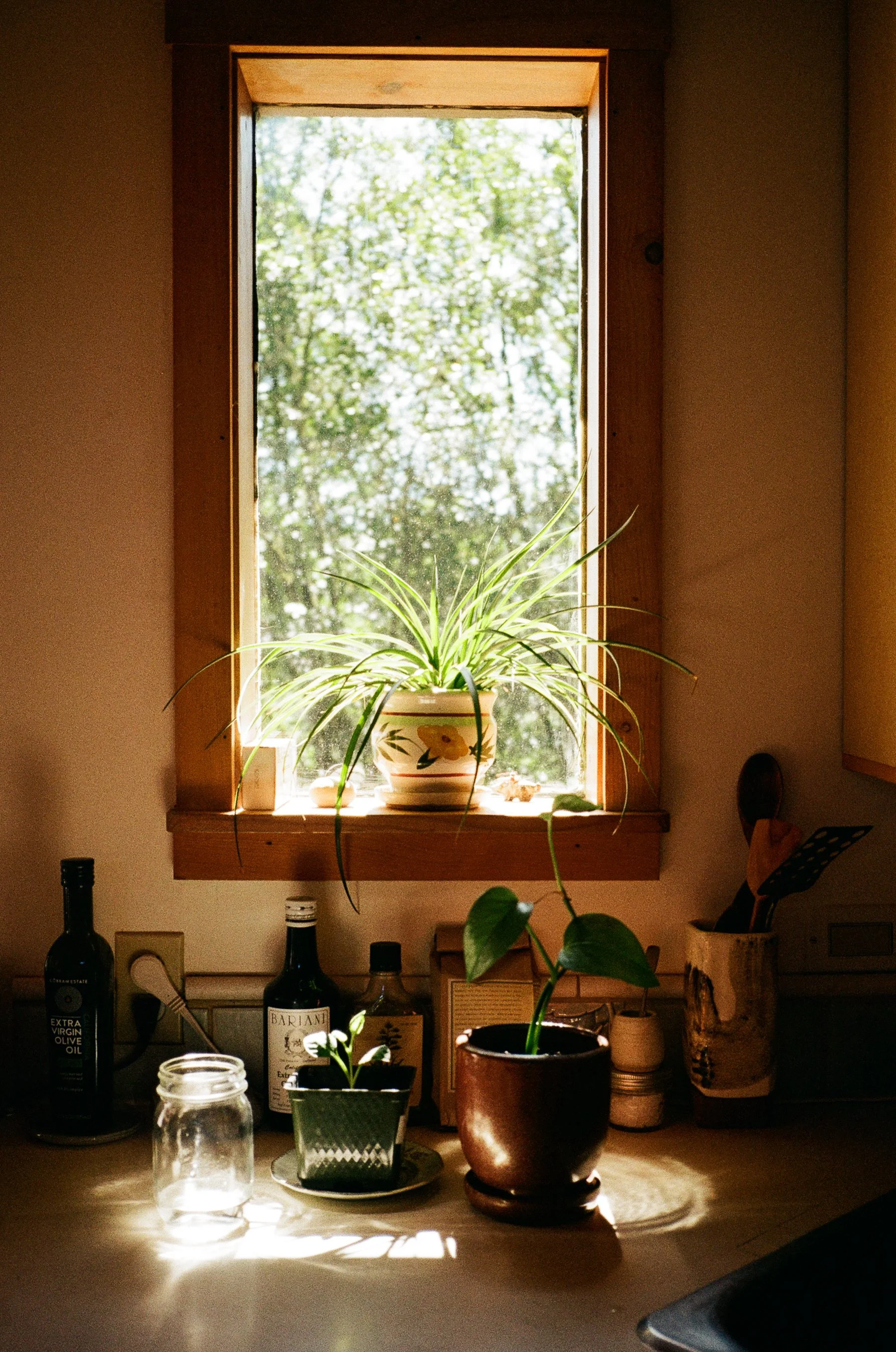 At home with Claire Crews in Inverness, California for Permanent Collection