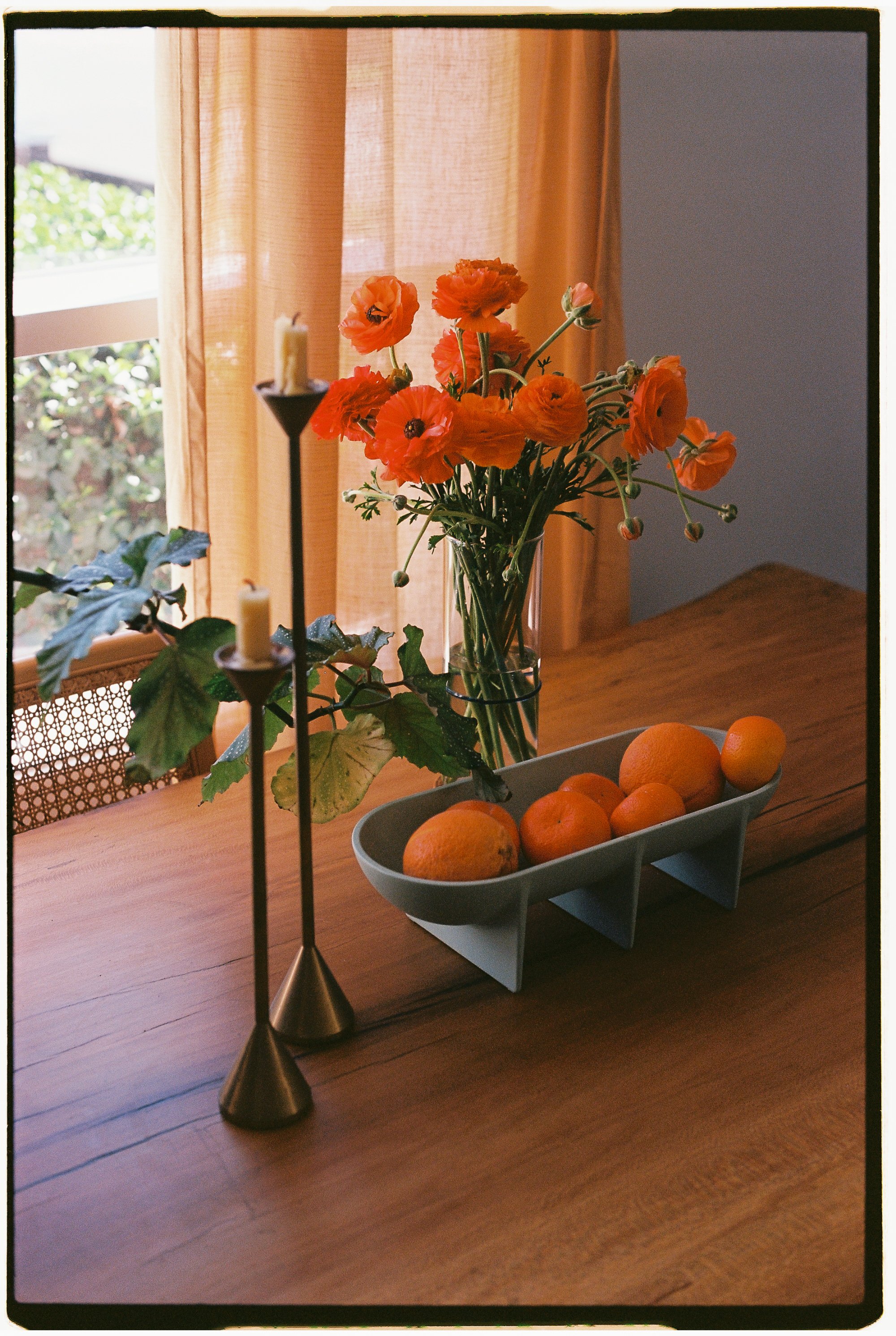 Table still life