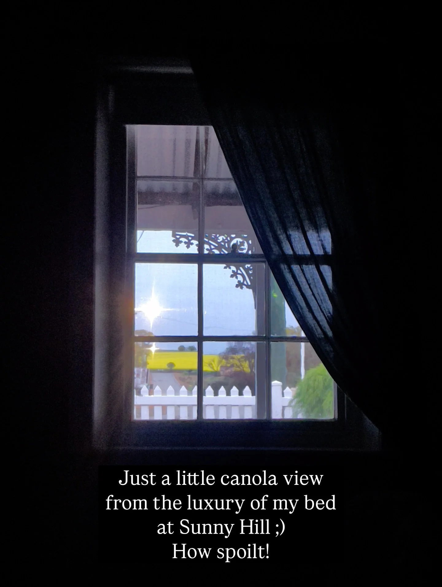 How spoilt are we this year - canola views every which way xxx ### 

#yorkwa #airbnbau #countrycottage #sunnyhilldays