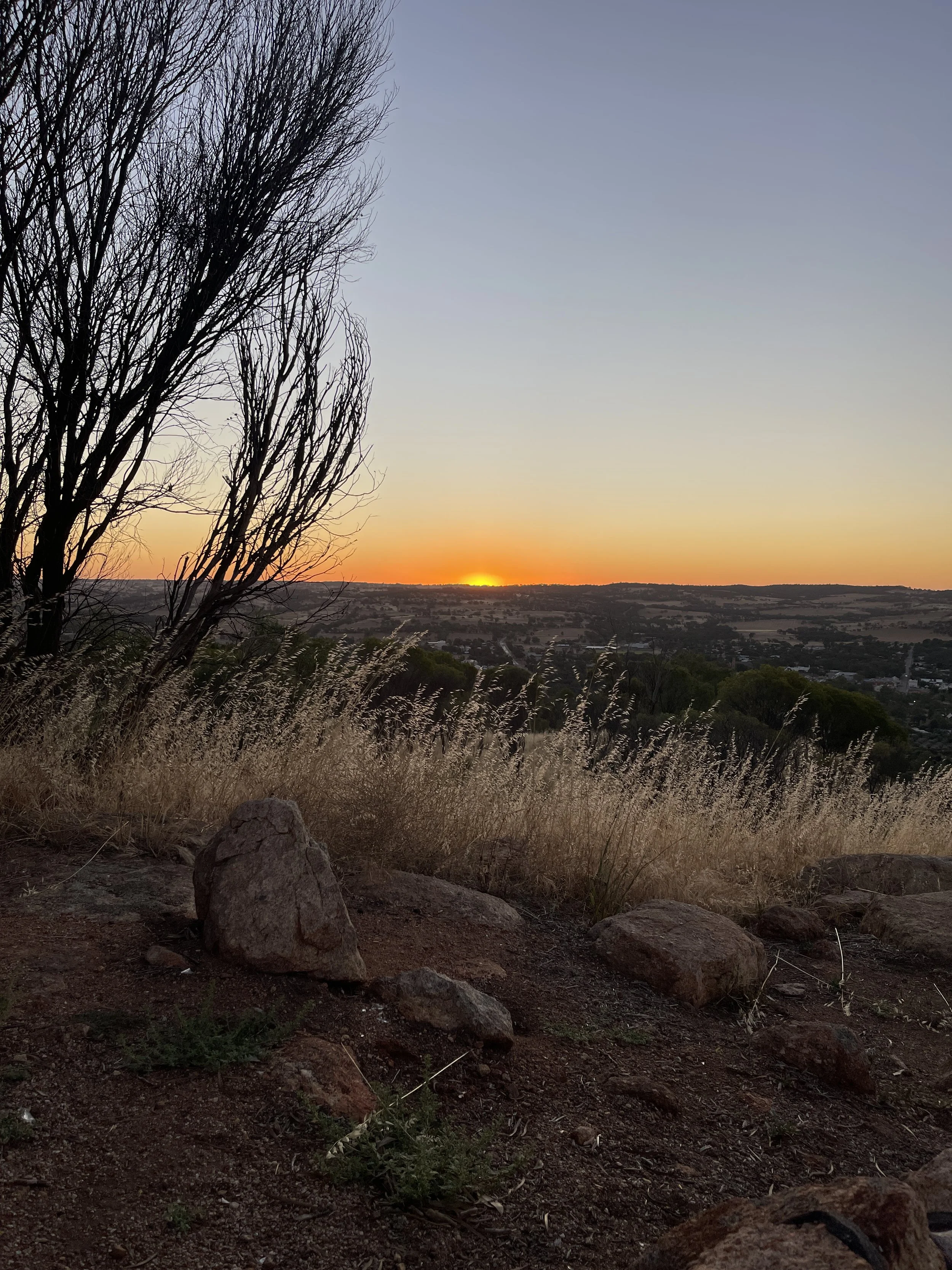 Summer Days in York, Western Australia