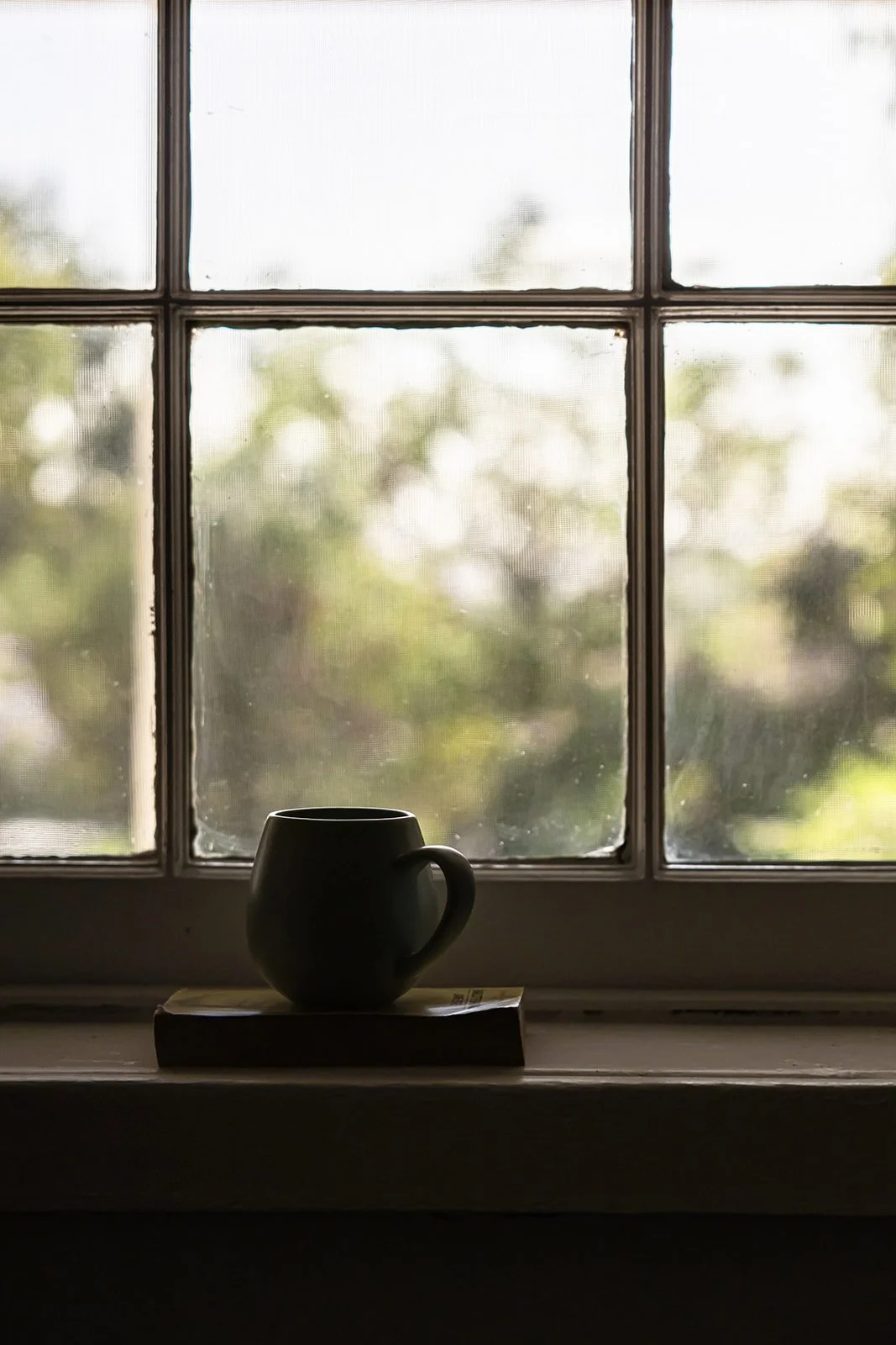 A mug of coffee on a window sill with a book at Sunny Hill