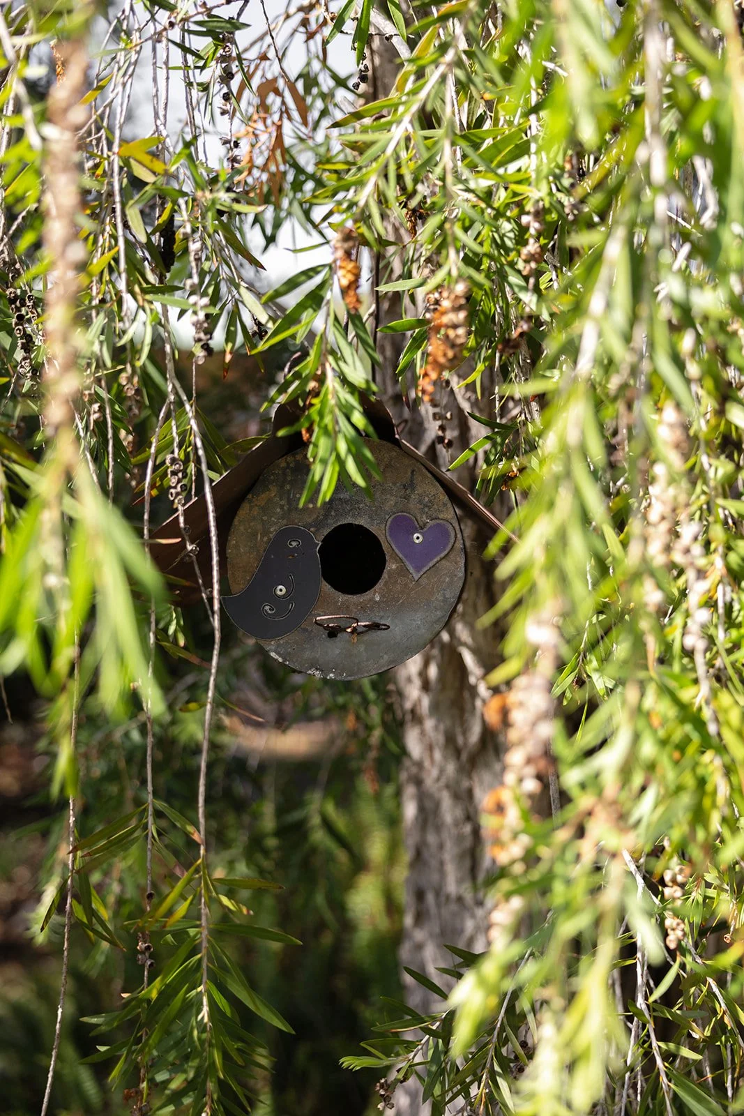 A birdhouse hanging from a bottle brush tree. The birdhouse has decorative elements, including a purple heart, a black bird, a small clasp, and a circular entrance hole.