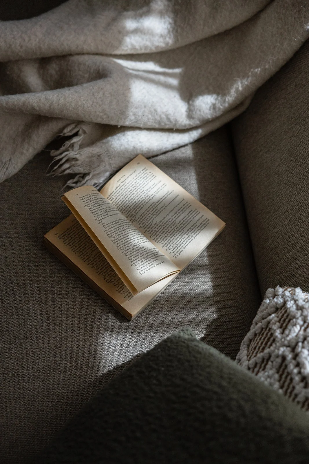 Reading a book on the couch