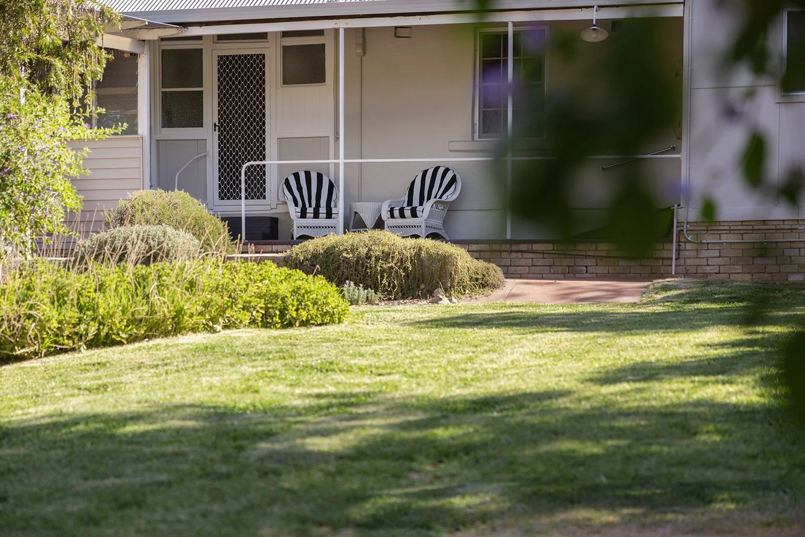 The lawn and comfy outdoor chairs at Sunny Hill