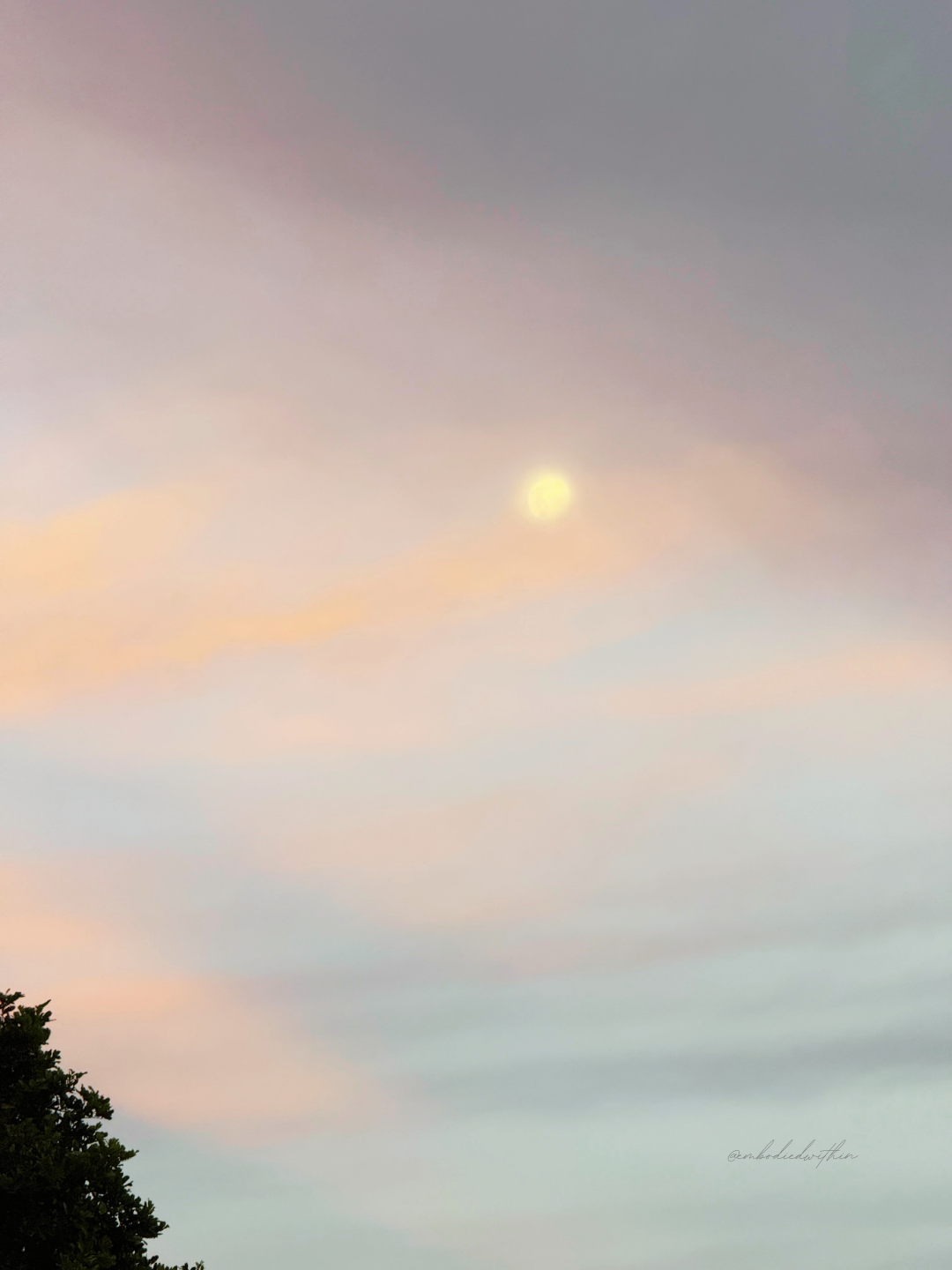 The First Full Moon of 2026: A Cyclical Check-In