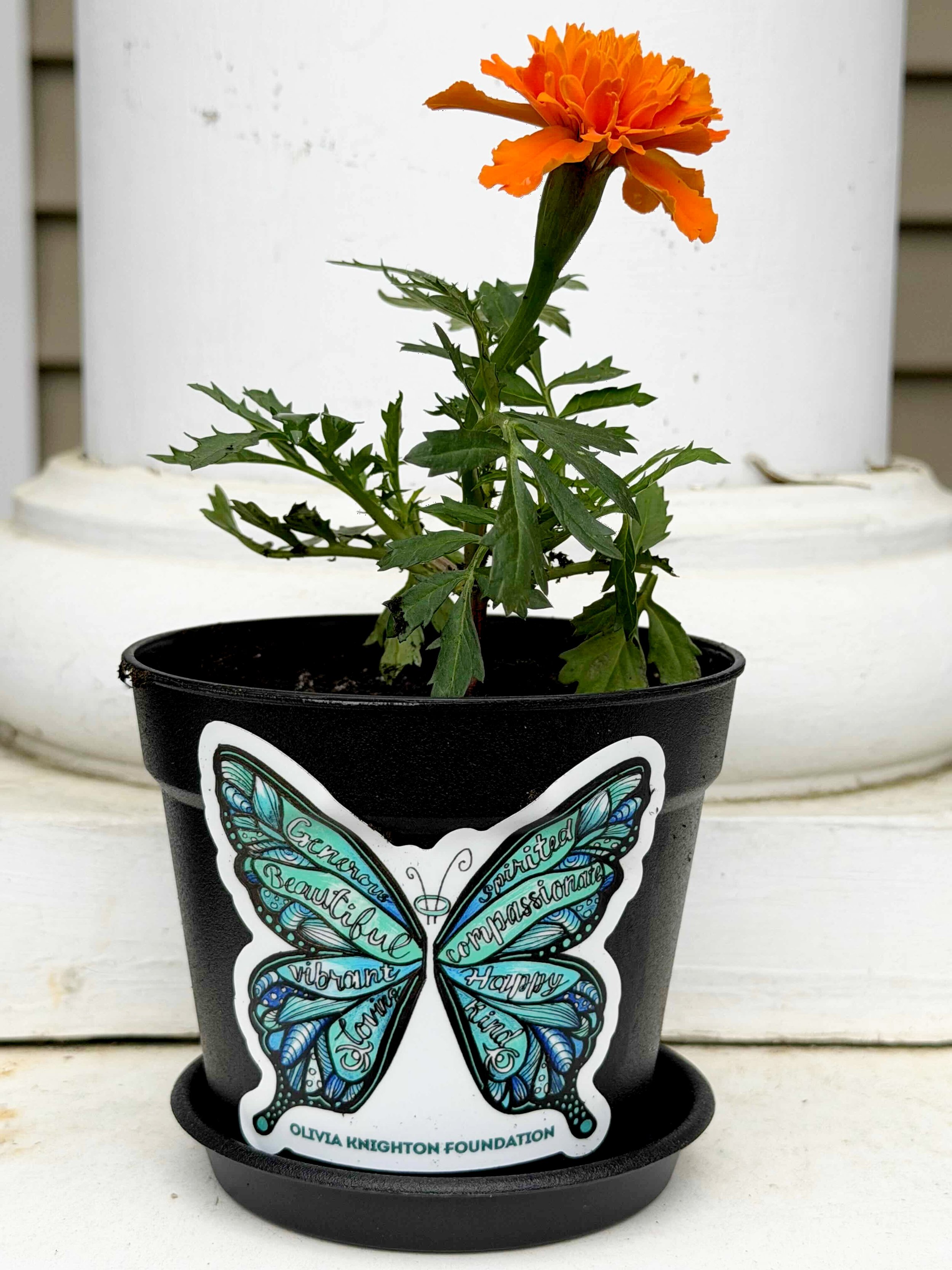 This Wednesday, the Olivia Knighton Foundation and the @attleborolibrary will host the monthly kindness club meeting! 
We will be decorating flower pots and planting flowers for people in our community. Sign up in the link in Bio