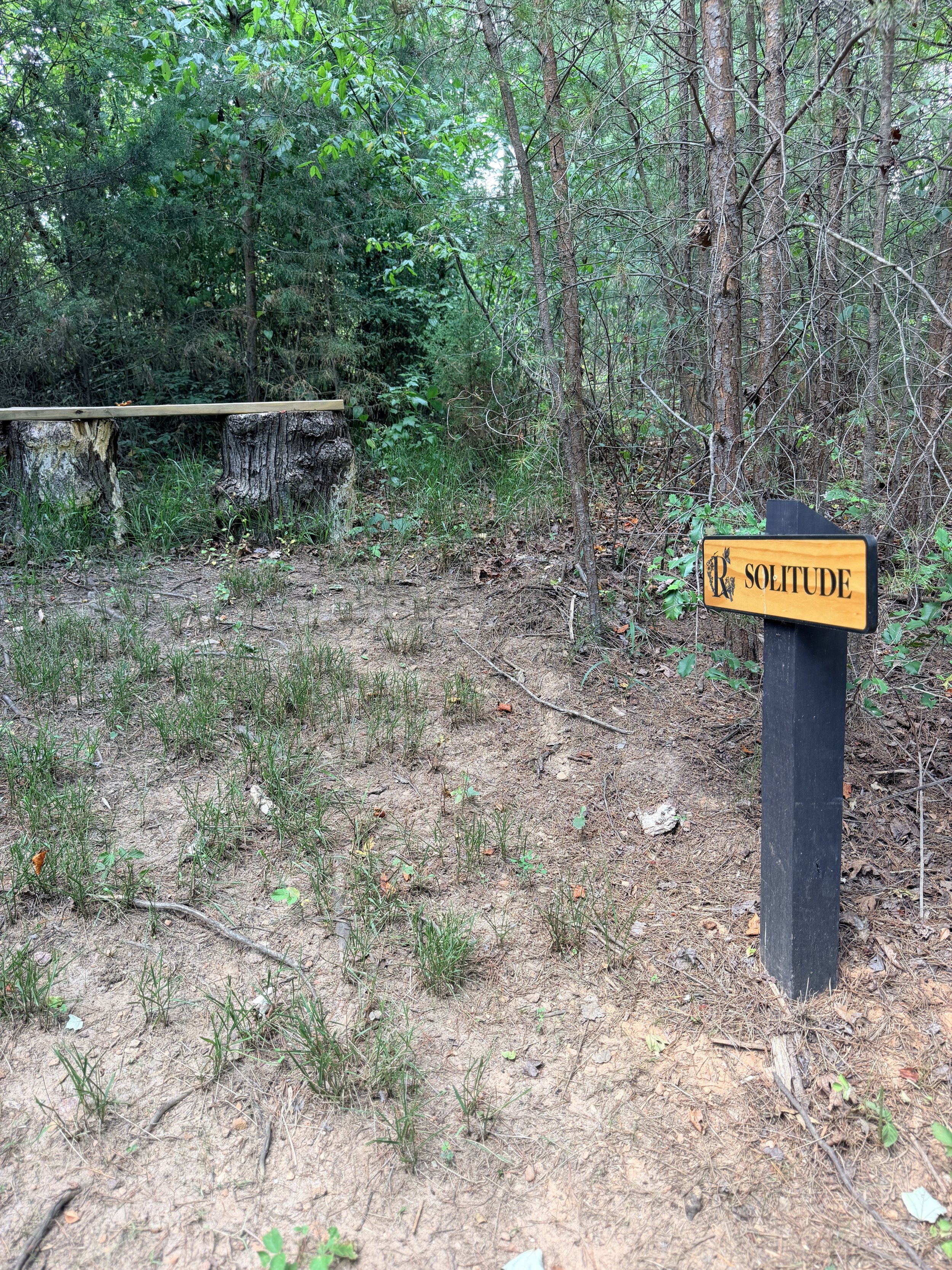 Solitude sign with natural tree bench; best places to travel in North Carolina