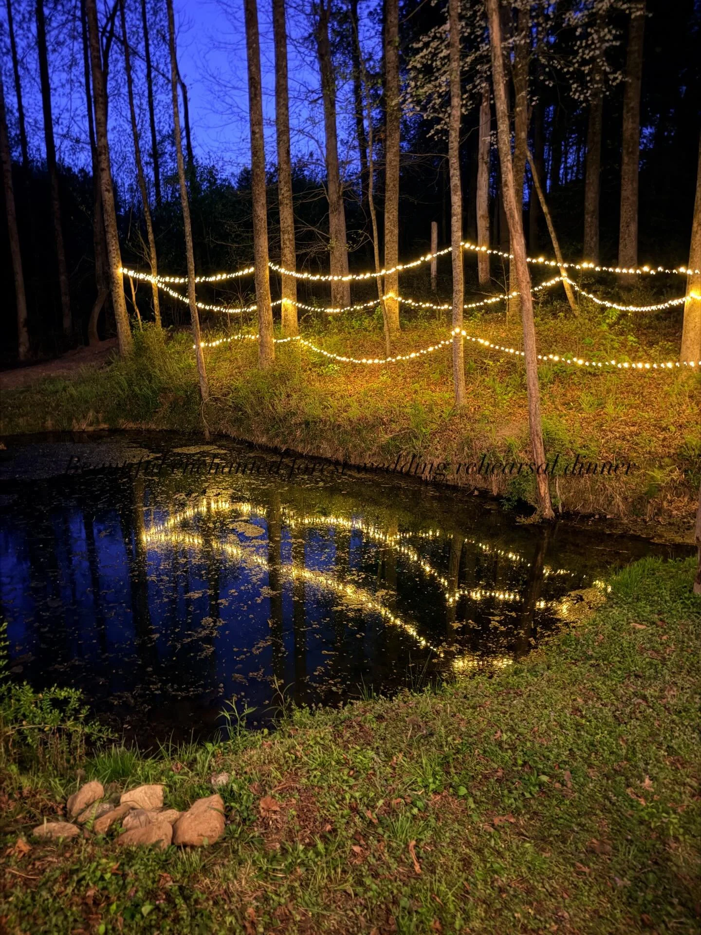 Such a magical evening for this couple as they shared intimate moments with their closest people during their rehearsal dinner at our enchanted forest. 💜

@zachary_rt_bass 
@immadisonbass 

Redbird Ridge Estate
NC wedding venue near Charlotte 
NC Re