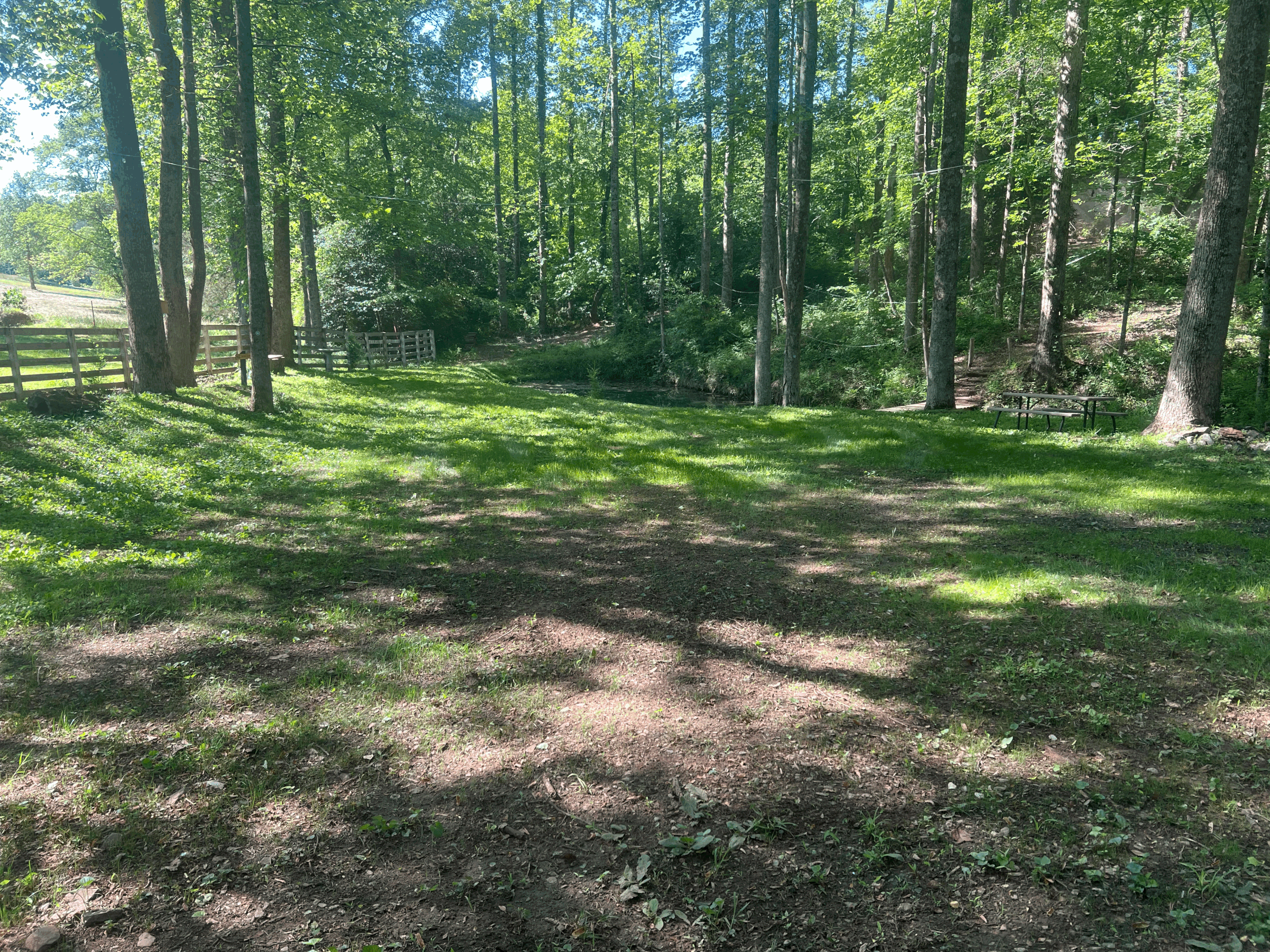 Wellness Retreats in North Carolina: Best Day, Leadership, Writing, and Music Retreats Near Charlotte NC
