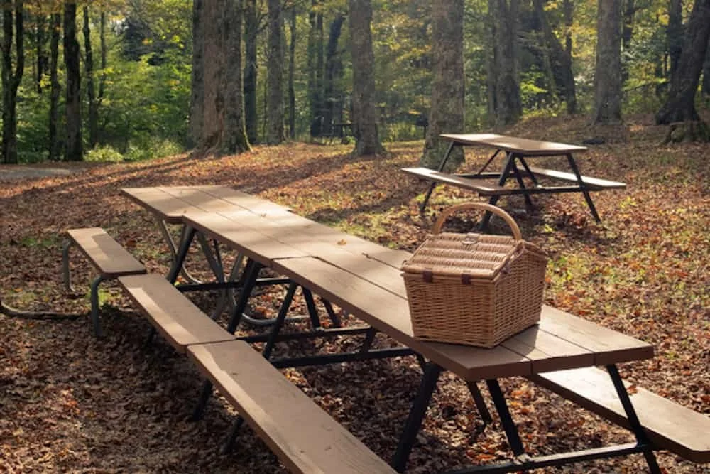 44 Best Things to Do in Taylorsville NC - Alexander County