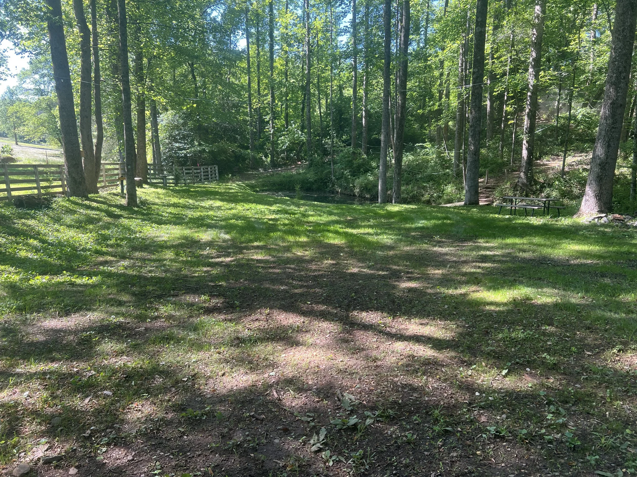 forest with pond at NC retreat center; best things to do in Taylorsville NC