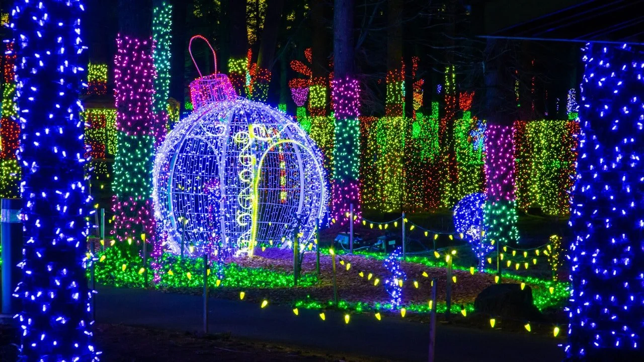 The Carolina Holiday Light Spectacular at Ballantyne's Backyard; most romantic place in Charlotte to get engaged this holiday season