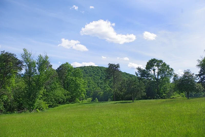 Wedding venue with mountain views and luxury picnics