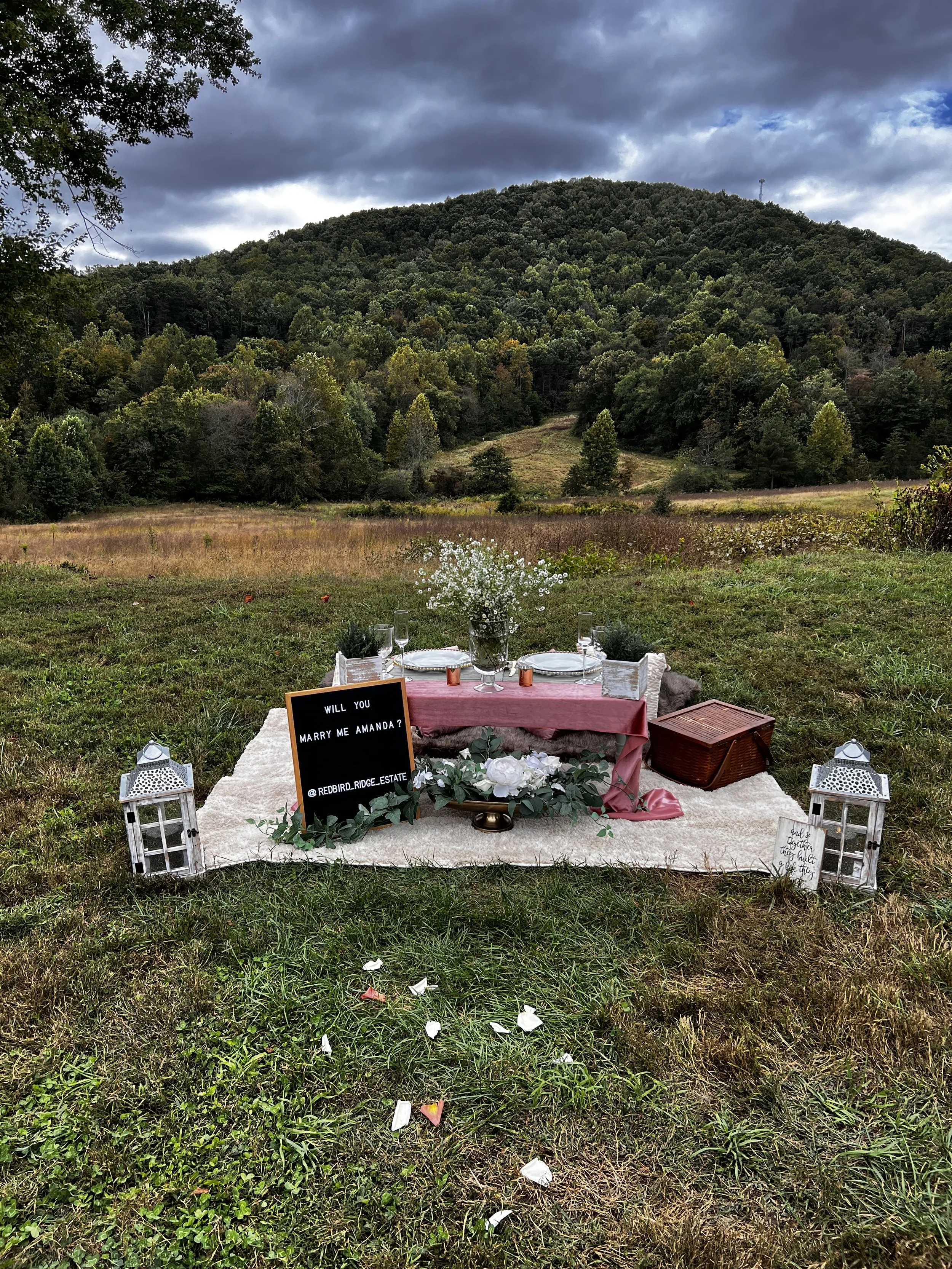 Luxury picnic proposal with mountain view at Charlotte wedding venue