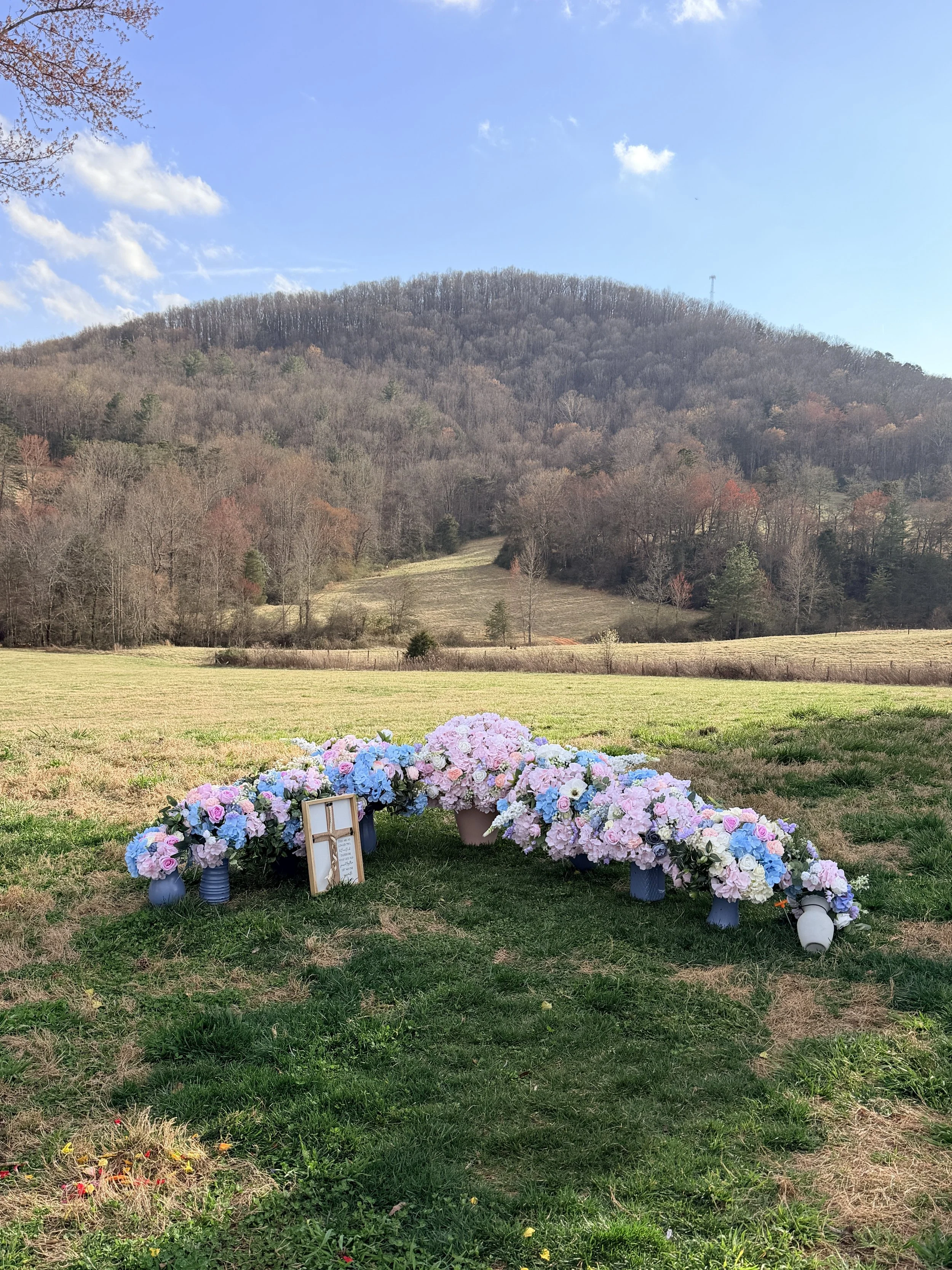 Mountain View ceremony with flower arch; best wedding venues near Charlotte NC for mountain views