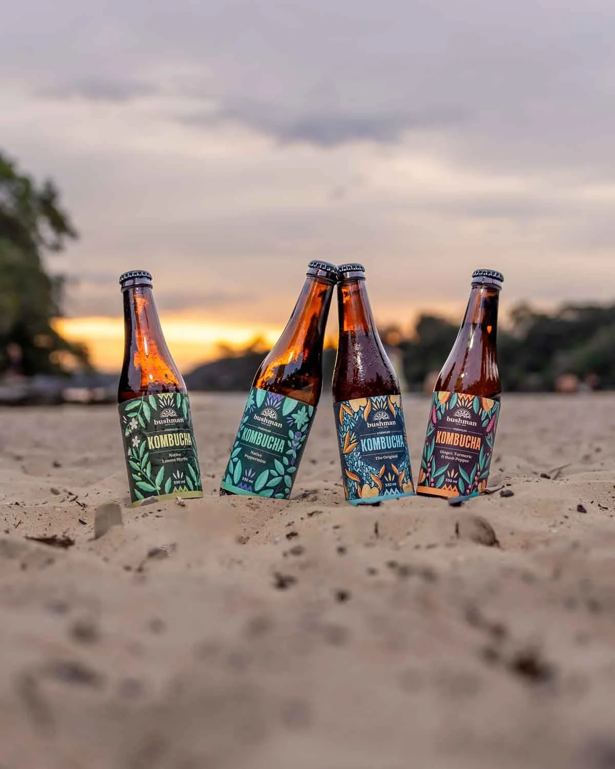 Bushman Kombucha