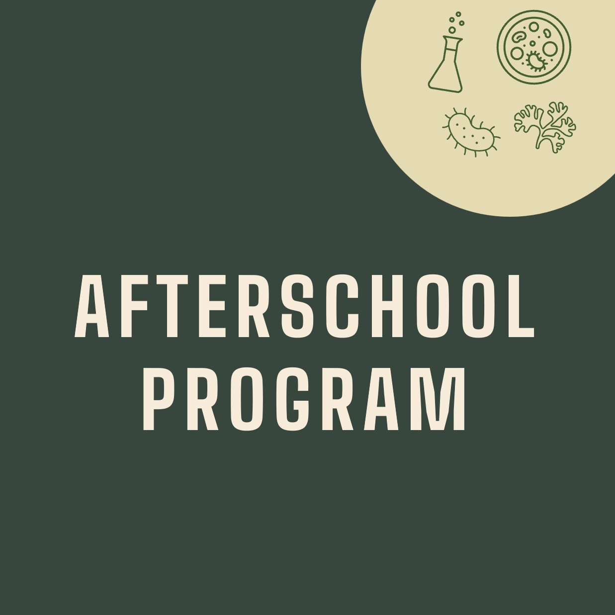 Afterschool program.png