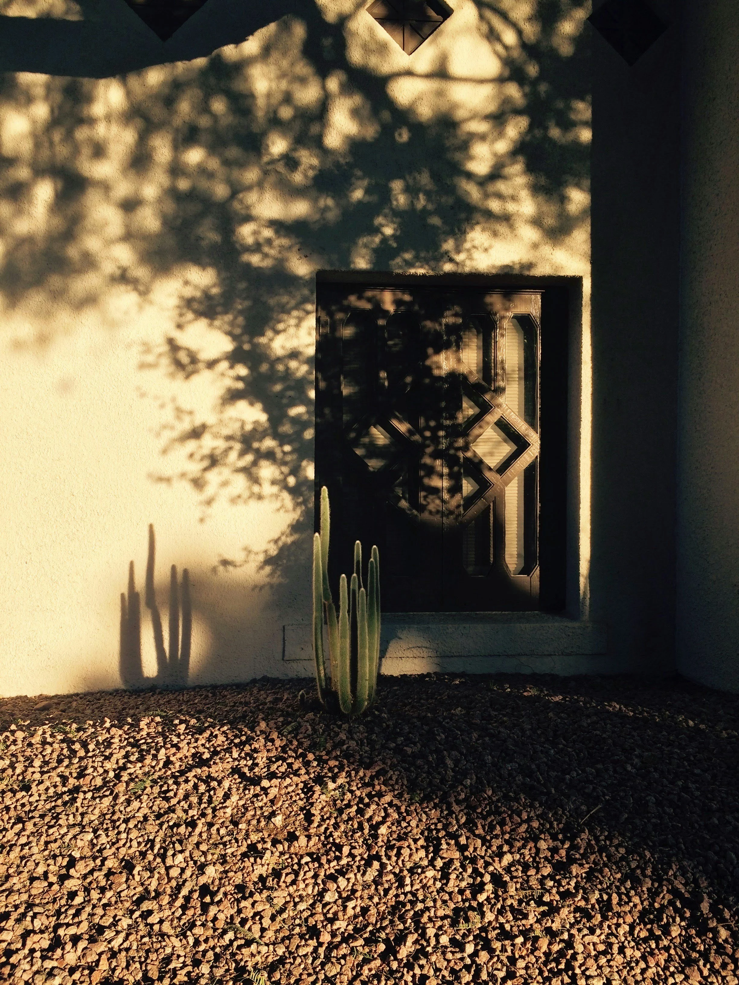 Tucson Real Estate, The Value of Shade in Desert Homes