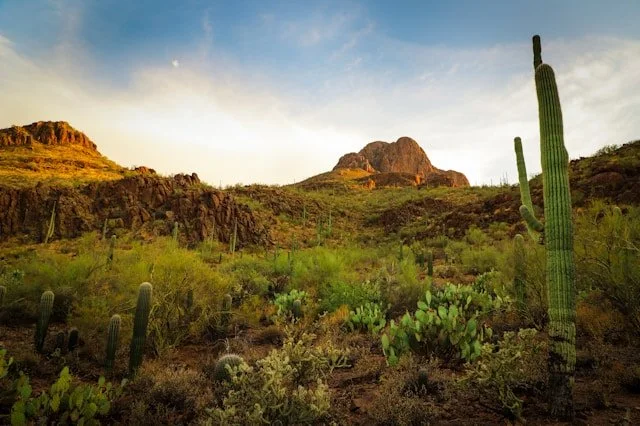 Is Tucson a Good Place to Retire?