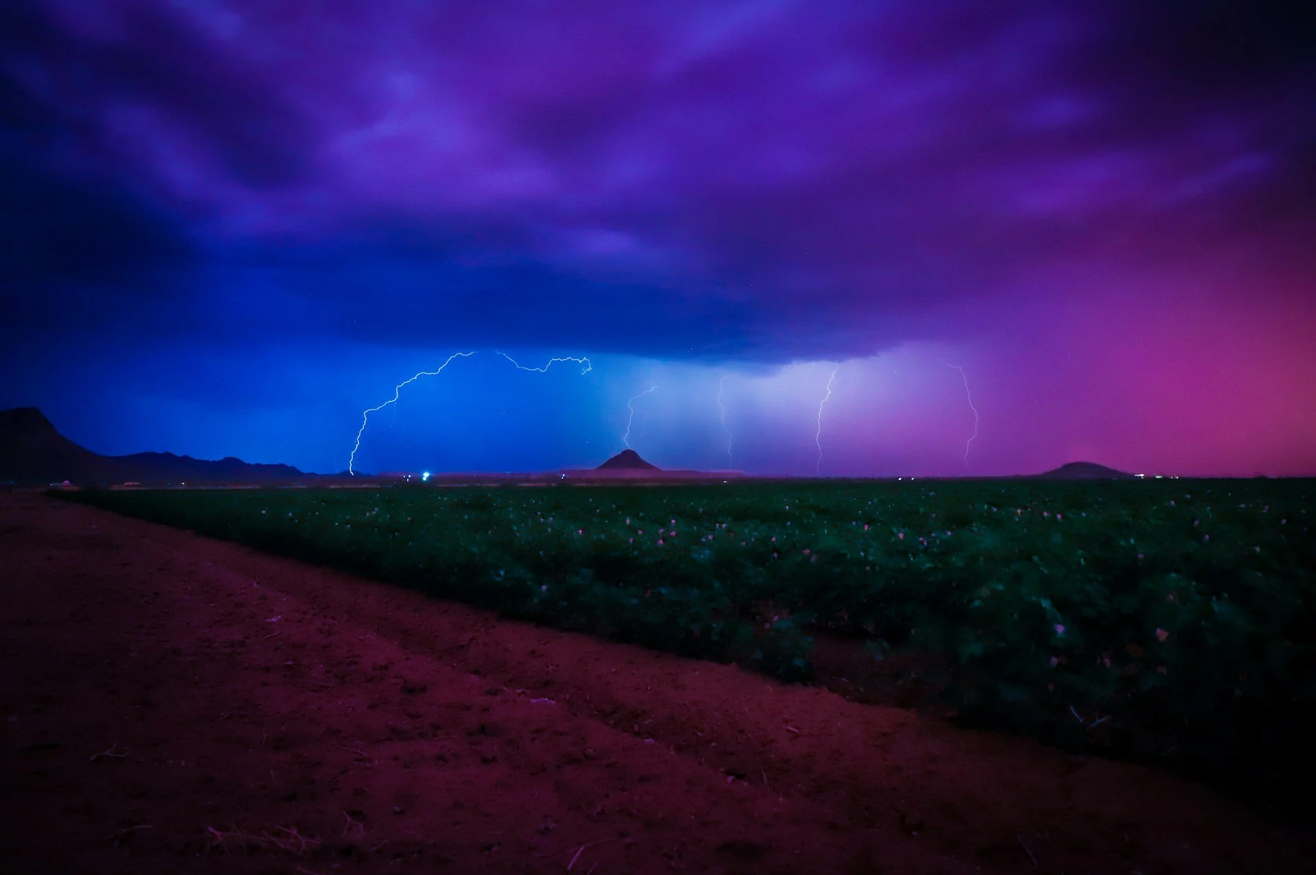 Tucson Monsoon Season: What New Residents Need to Know