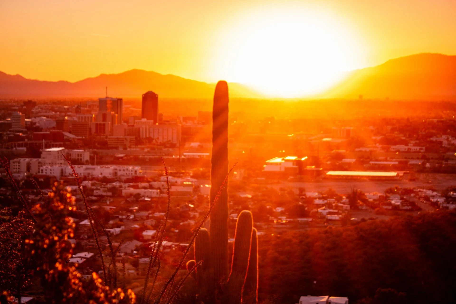 Tucson vs. Phoenix: Which Arizona City Is Right for You?