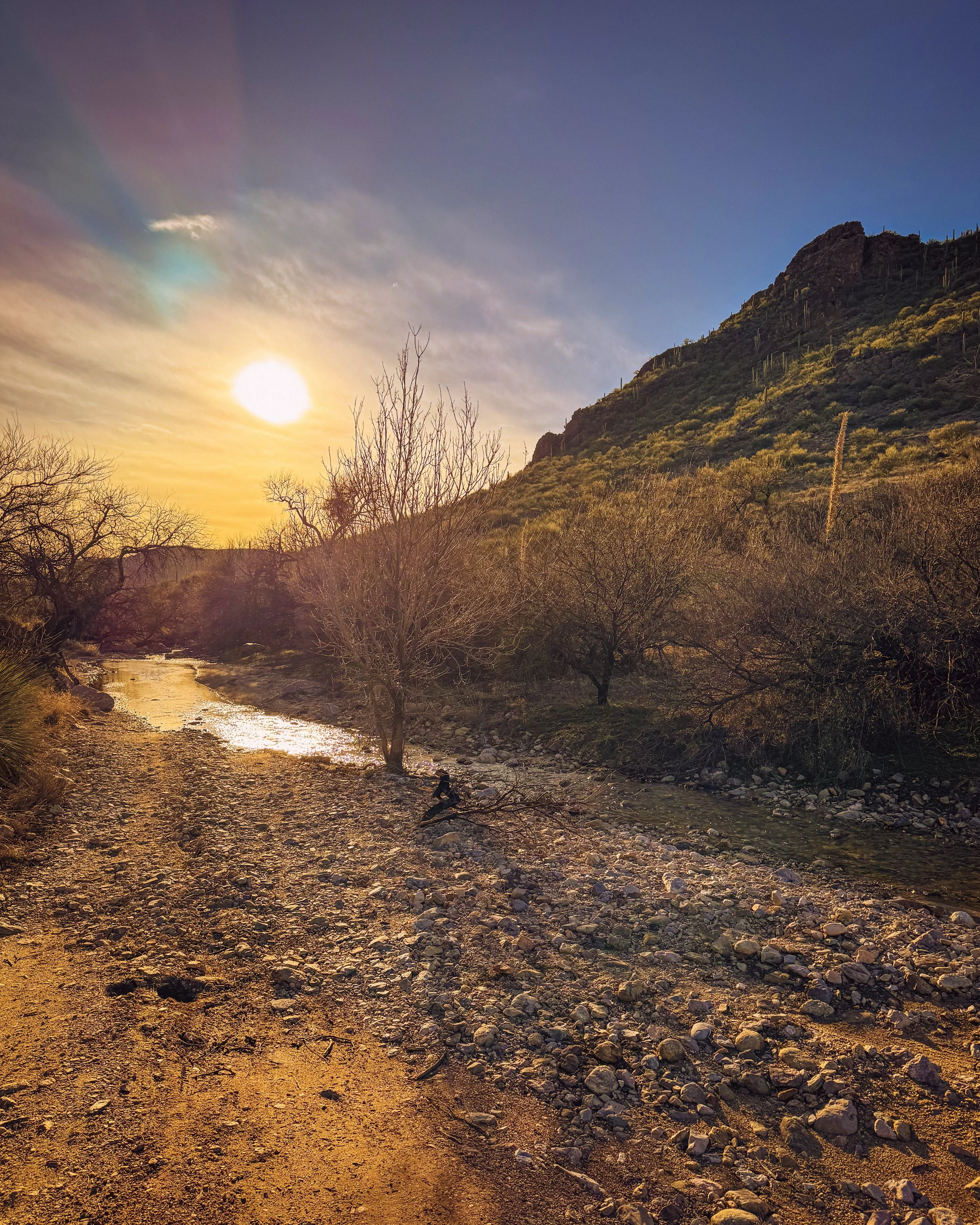 Where Does Tucson's Water Come From? 2026 Guide for Homeowners