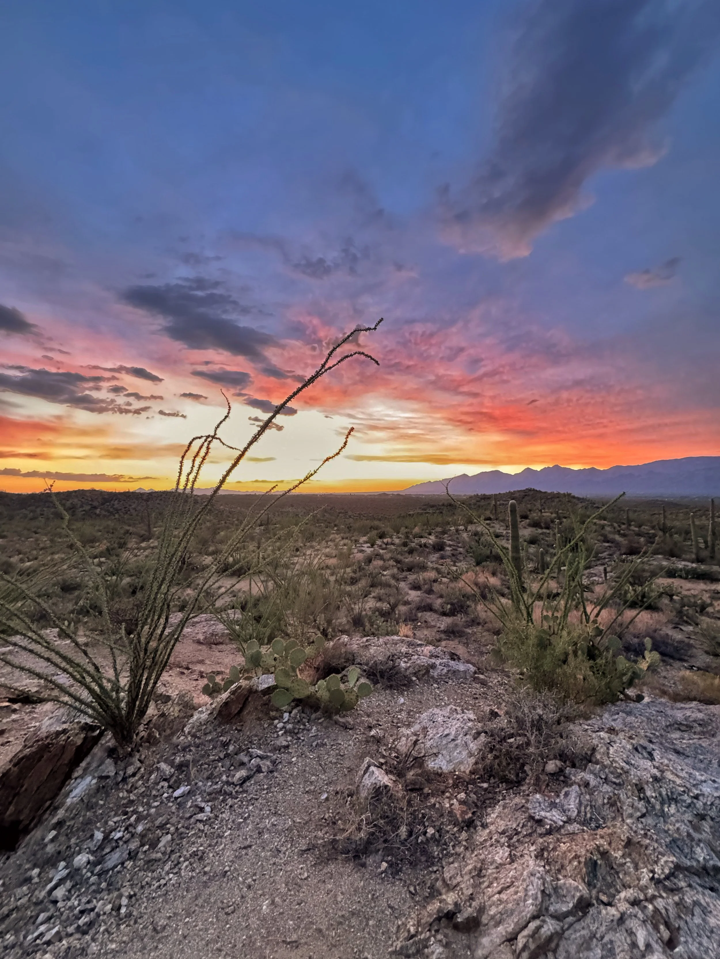 Desert landscape at sunset with cacti, rocky terrain, and a colorful sky with clouds.