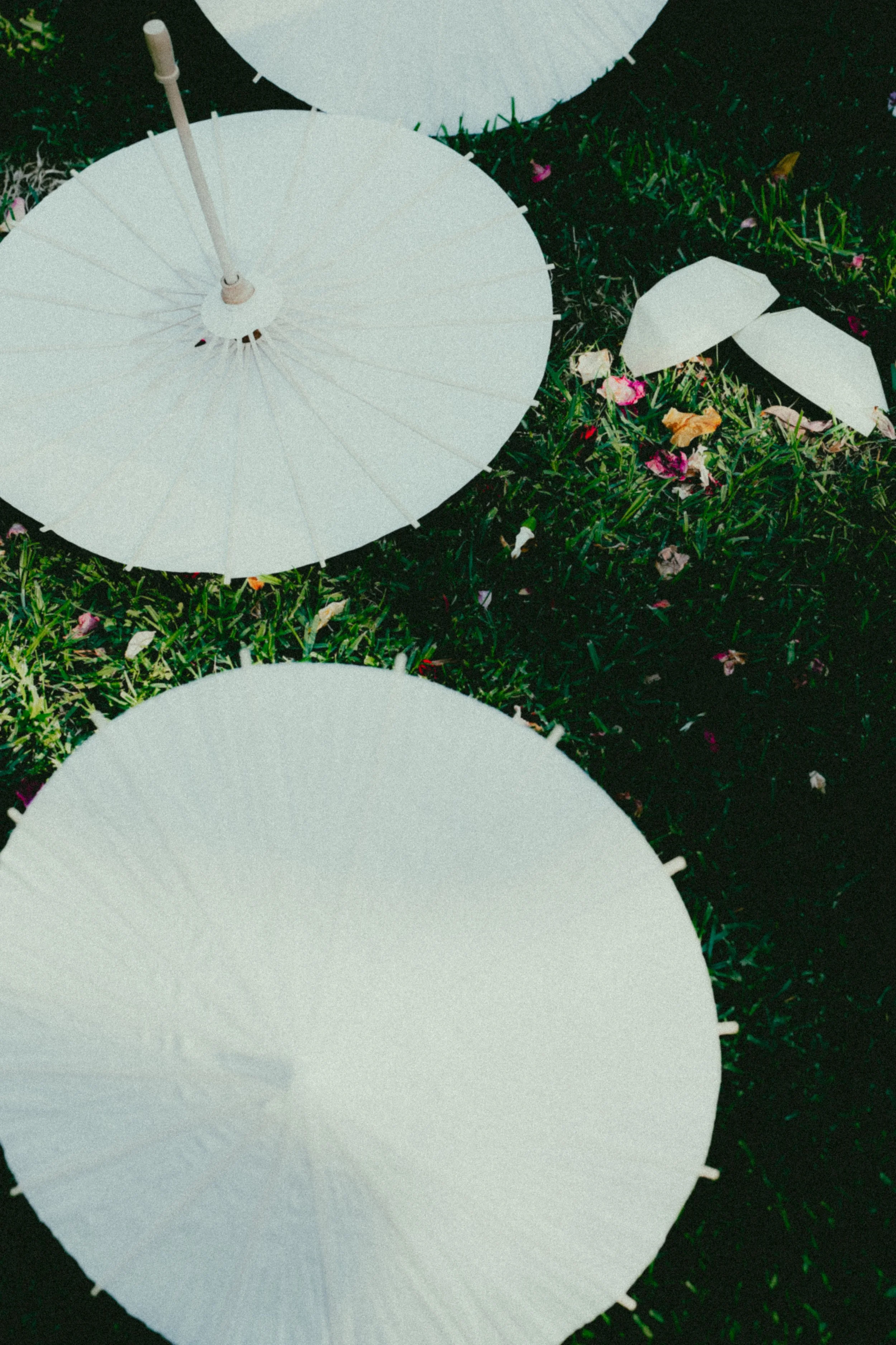 Mitch Gamble Media x Imogen & Sam's Wedding (Small Files)-750.jpg